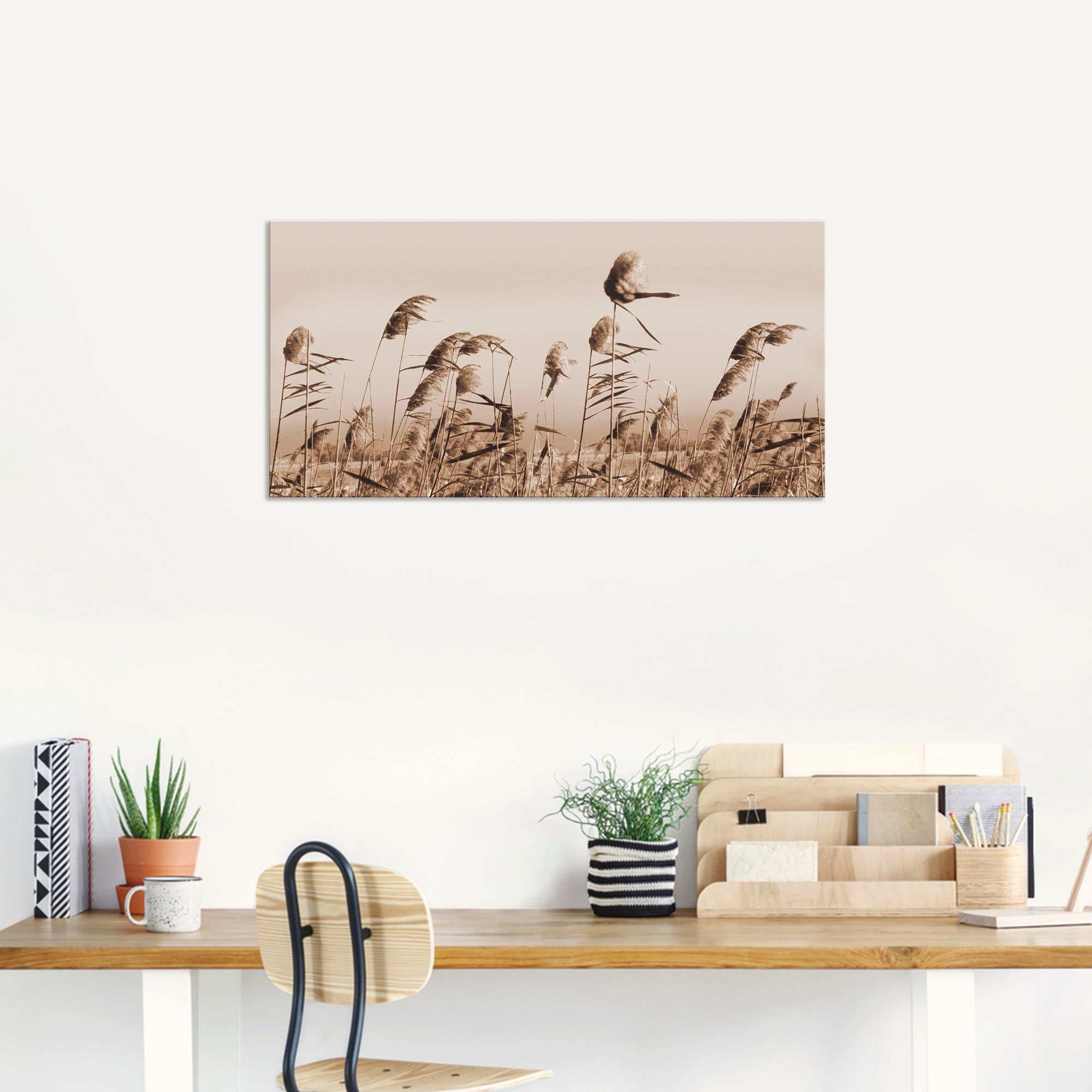 Artland Wandbild "Gräser", Gräser, (1 St.), als Alubild, Outdoorbild, Leinw günstig online kaufen