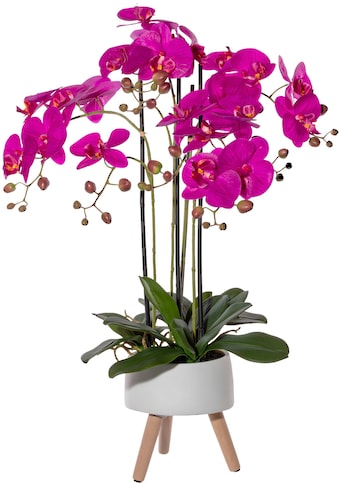 Kunstorchidee »Orchidee Phalaenopsis in Keramikschale«