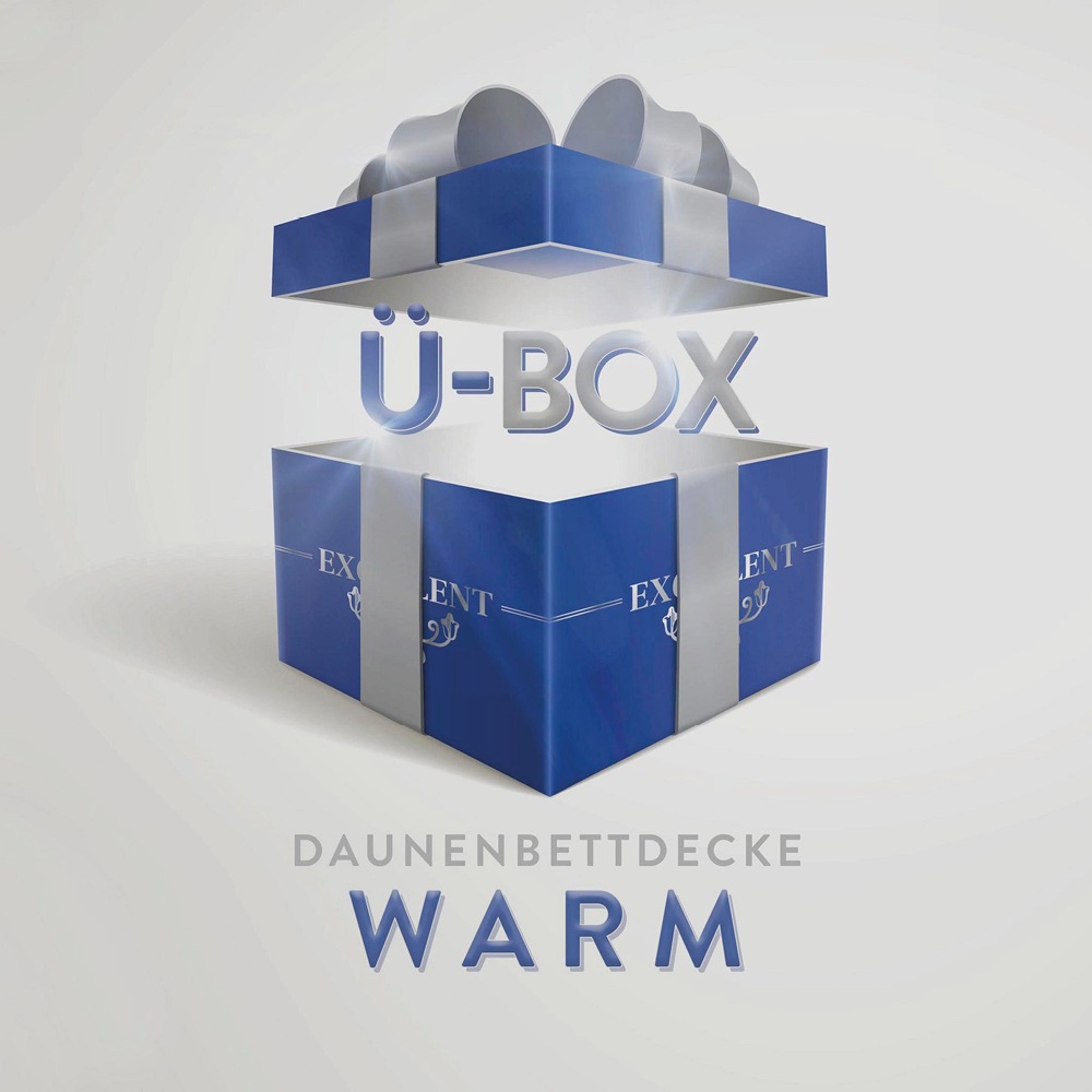 Excellent Daunenbettdecke »Überraschungsbox«, warm, Füllung 90% Daunen, 10% günstig online kaufen