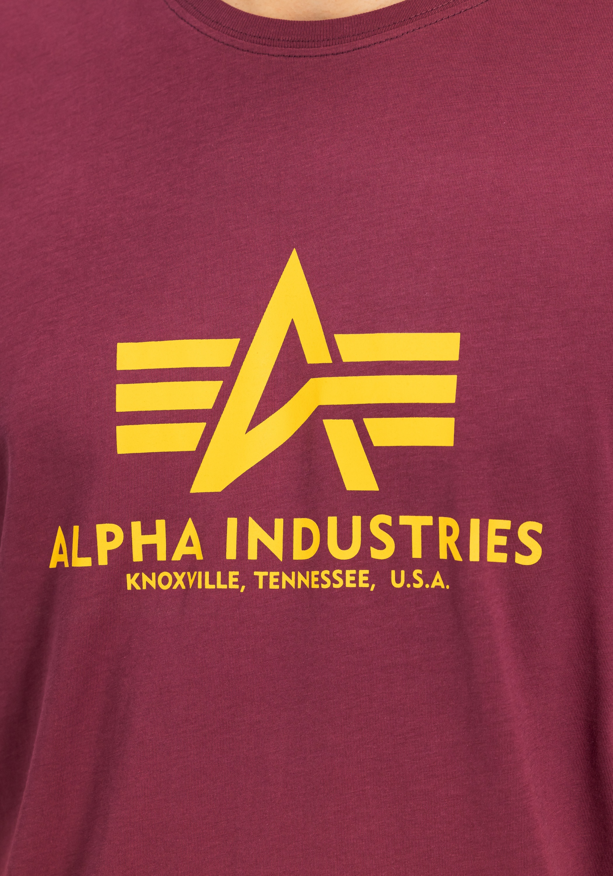 Alpha Industries T-Shirt »Basic T-Shirt BL«