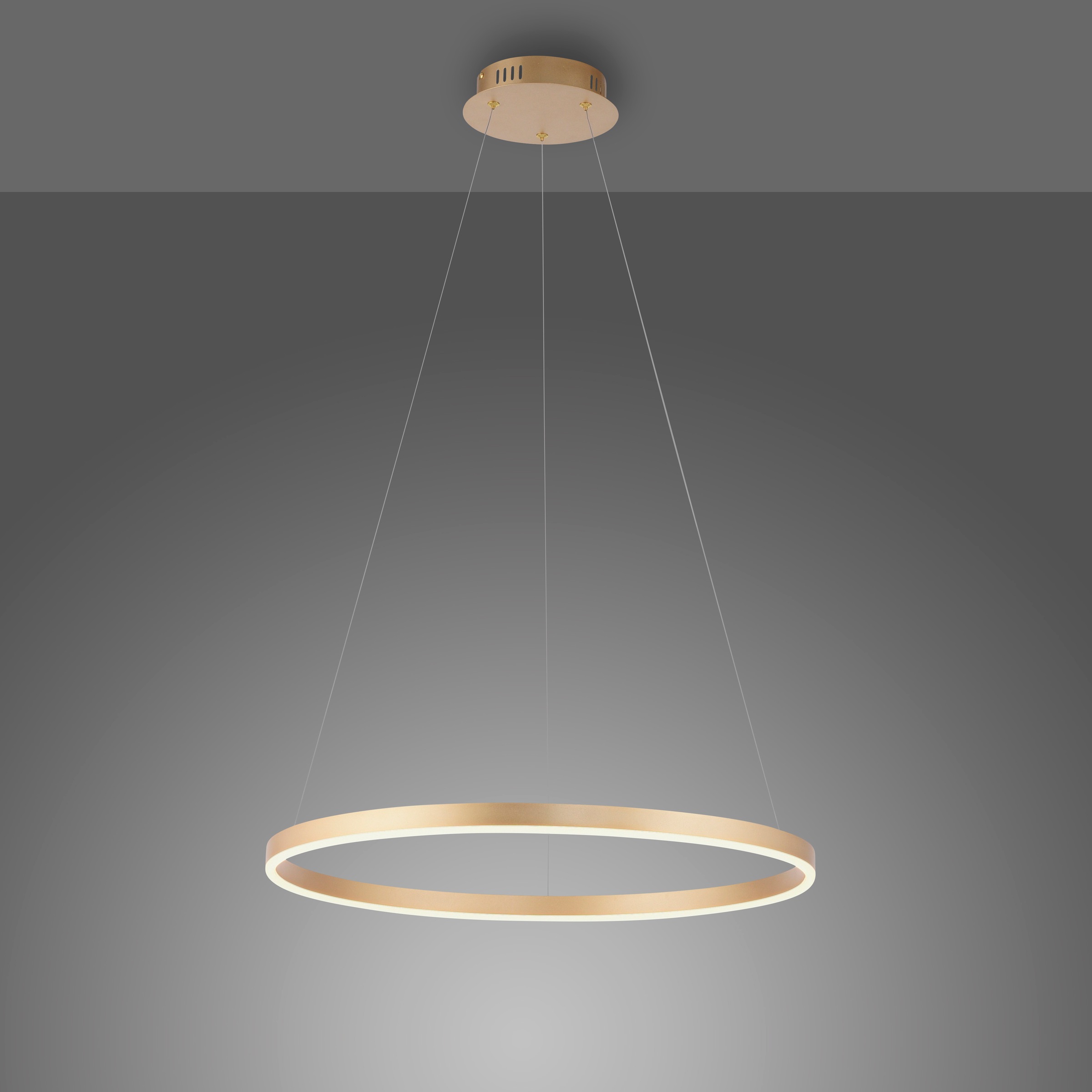 JUST LIGHT Pendelleuchte »RITUS« LED-Board 1 Stk. Warmweiß LED, dimmbar, Switchmo