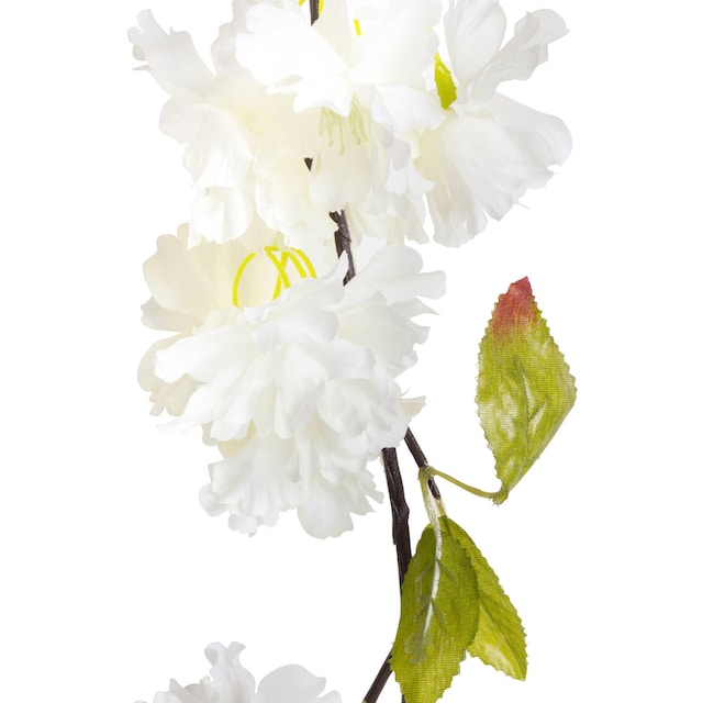Günstiger Verkaufsstart Botanic-Haus Kunstblume »Kirschblütengirlande« auf Raten kaufen