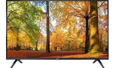 Thomson LED-Fernseher »32HD3306X1«, 80 cm/32 Zoll, HD ready kaufen