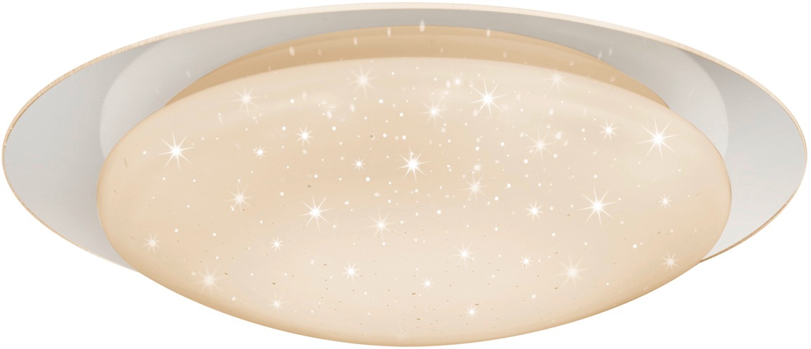 REALITY Leuchten LED Deckenleuchte »Frodo«, 1 flammig, Leuchtmittel LED-Mod günstig online kaufen