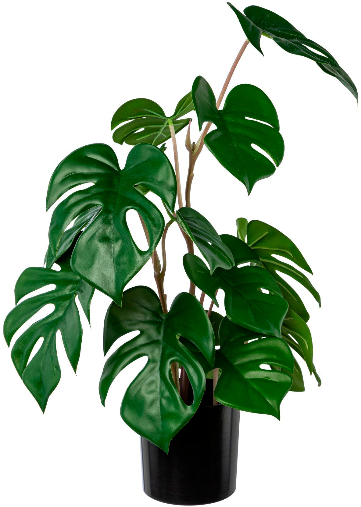 Künstliche Zimmerpflanze »Split-Philodendron-Pflanze«