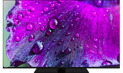 Toshiba OLED-Fernseher »55XL9C63DG«, 139 cm/55 Zoll, 4K Ultra HD, Smart-TV kaufen