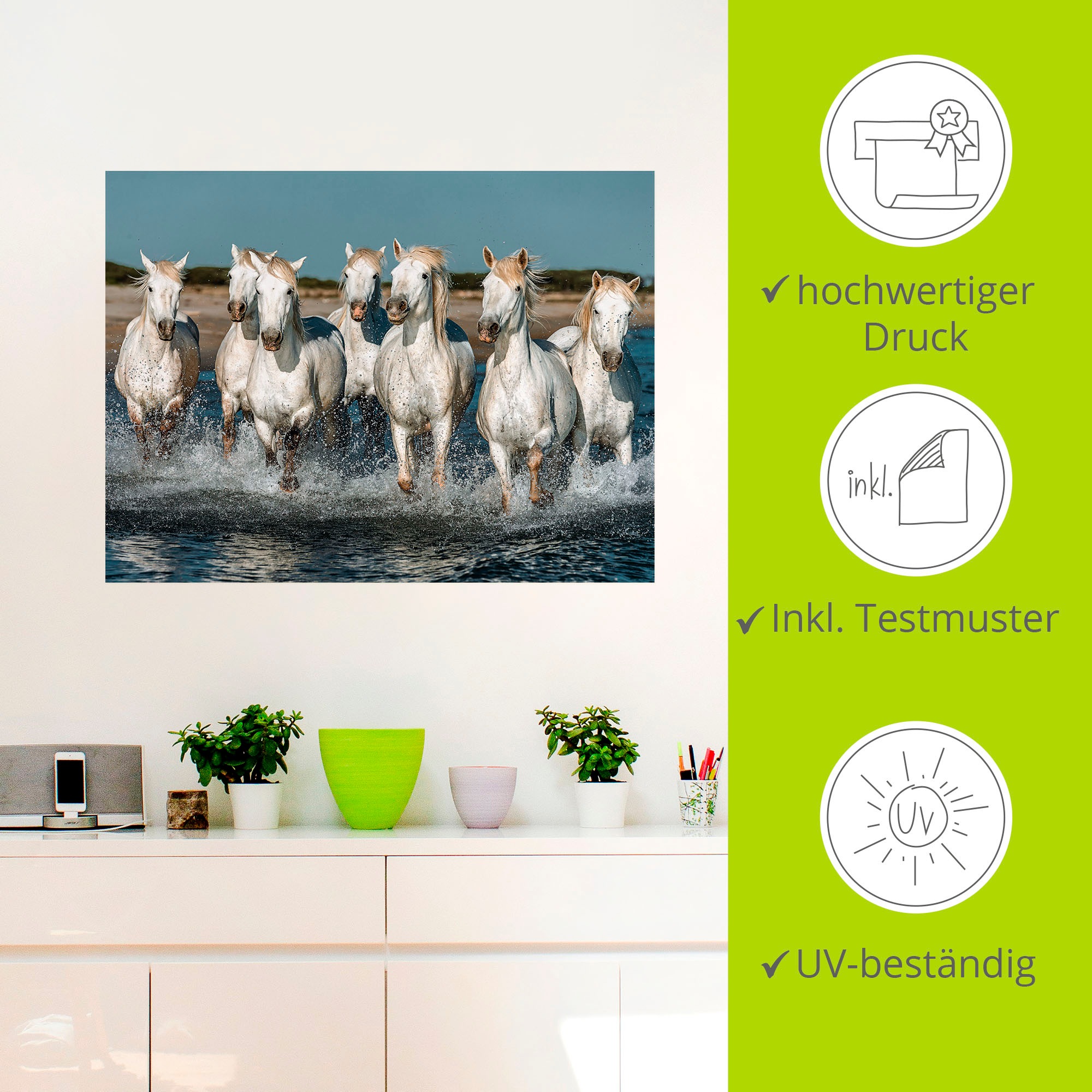 Artland Wandbild »Camargue Pferde galoppieren am Strand«, Haustiere, (1 St.), als Alubild, Outdoorbild, Leinwandbild, Poster, Wandaufkleber