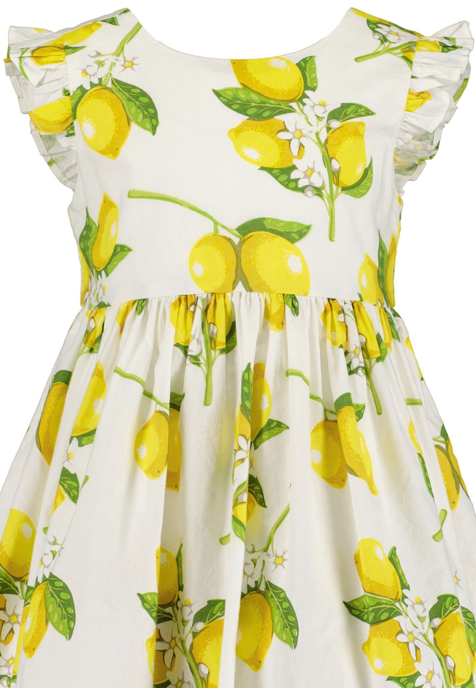 Blue Seven Sommerkleid, mit süßen Flügelärmeln und sommerlichem Alloverdruck