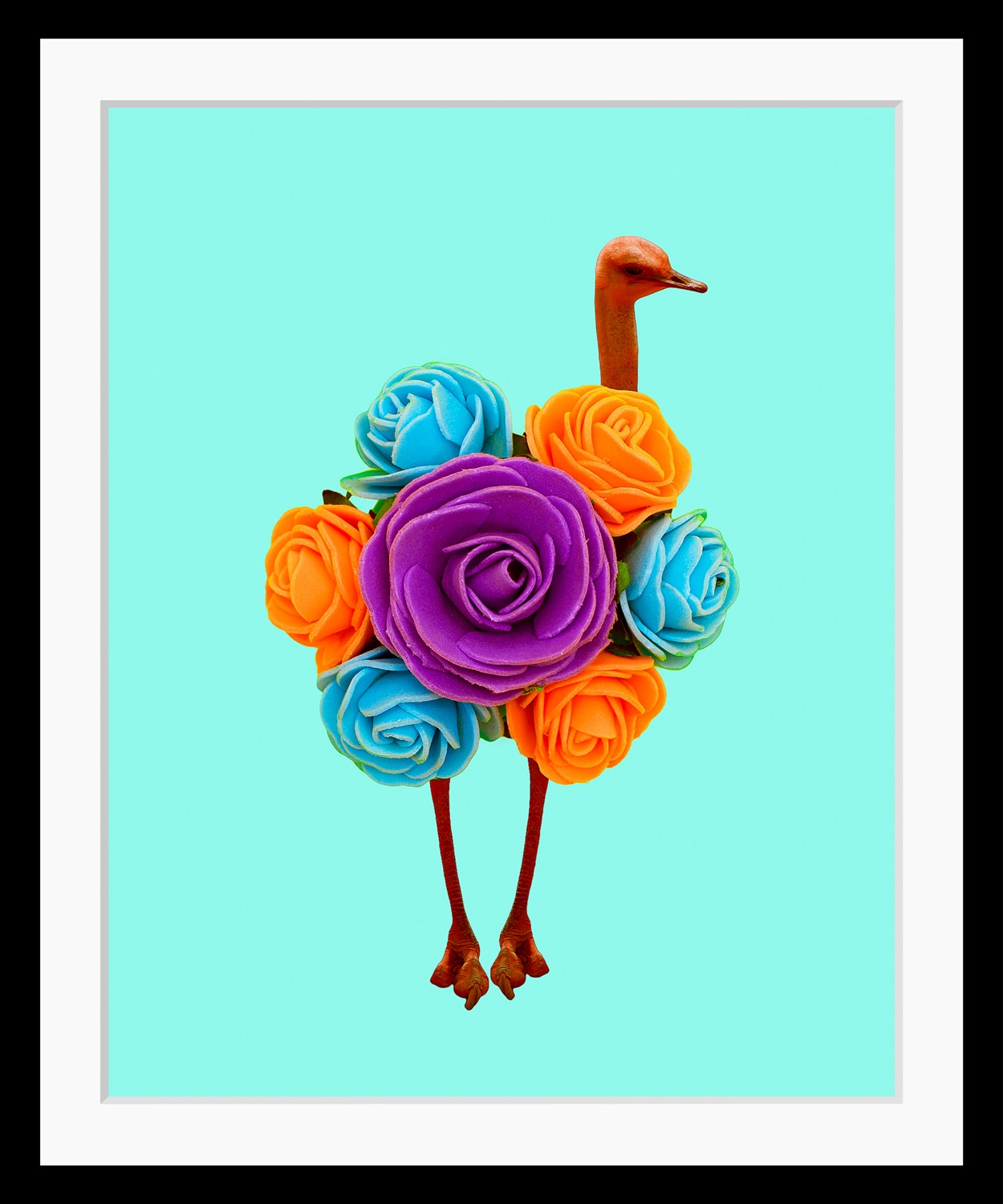 queence Bild »Amy«, Blumen-Vögel-Vogelbilder-Kunst-Humor, HD Premium Poster günstig online kaufen