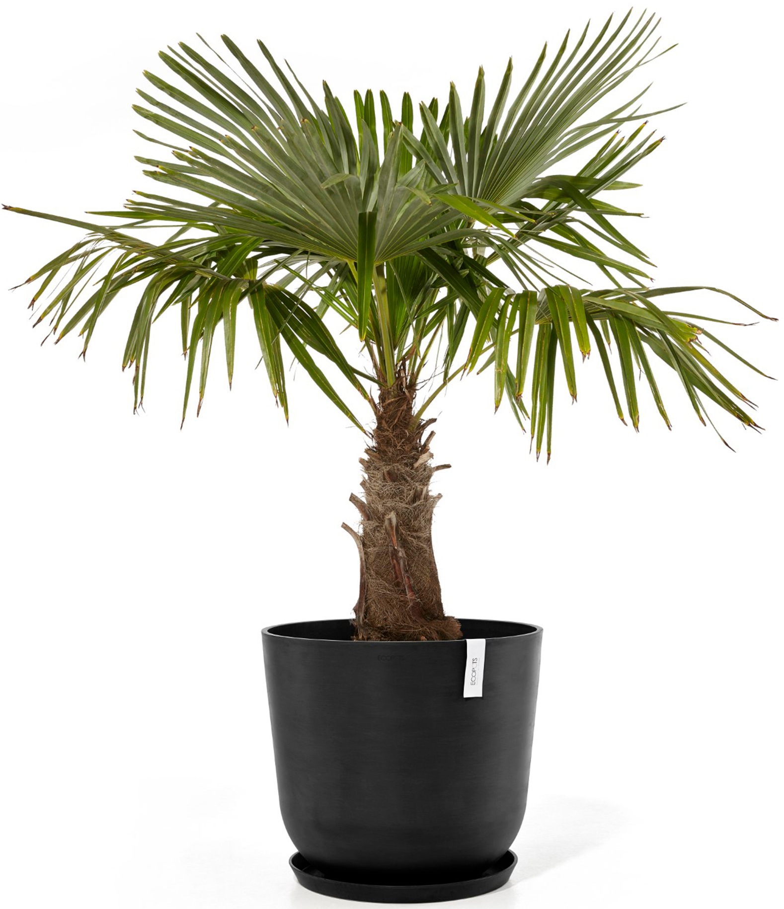 ECOPOTS Blumentopf »Oslo 55 + Wassersystem Dunkelgrau«, für innen und außen: frostsicher, bruchsicher und lichtbeständig