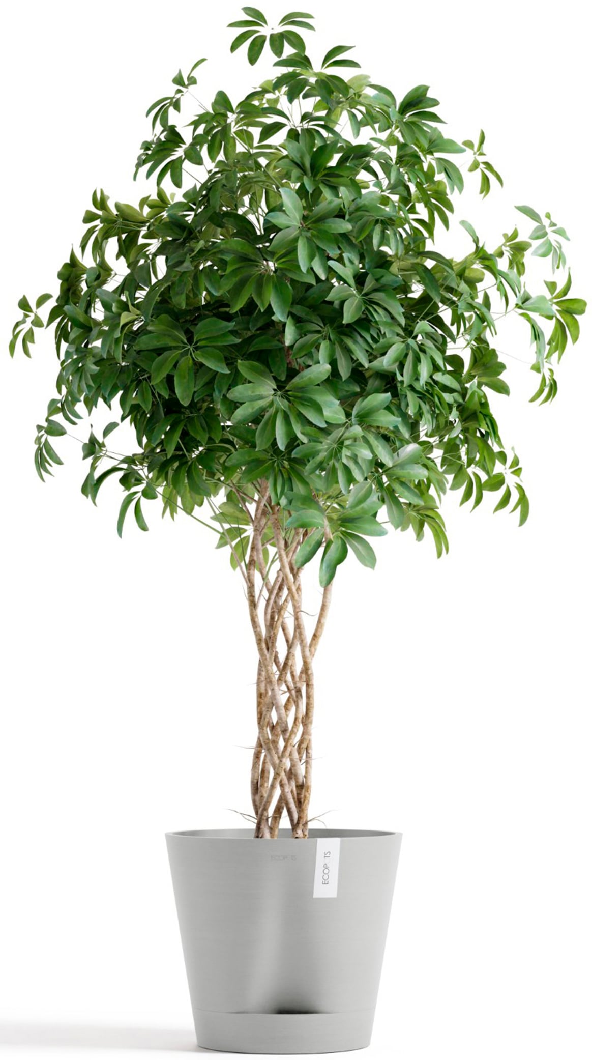 ECOPOTS Blumentopf »Venice 2 40 Weißgrau«, für den Innenbereich