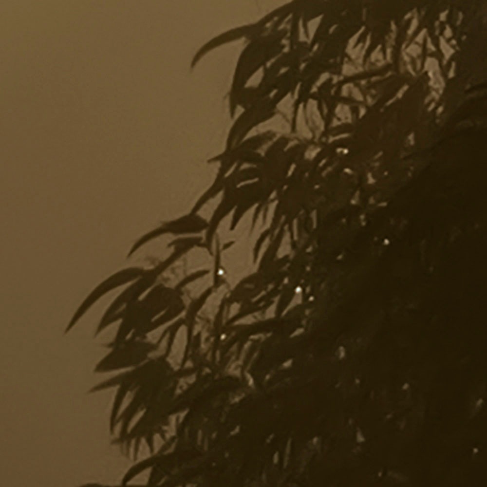 Komar Fototapete »Digitaldruck Vlies - Foggy Sunshine - Größe 400 x 250 cm«, bedruckt, Wohnzimmer, Schlafzimmer