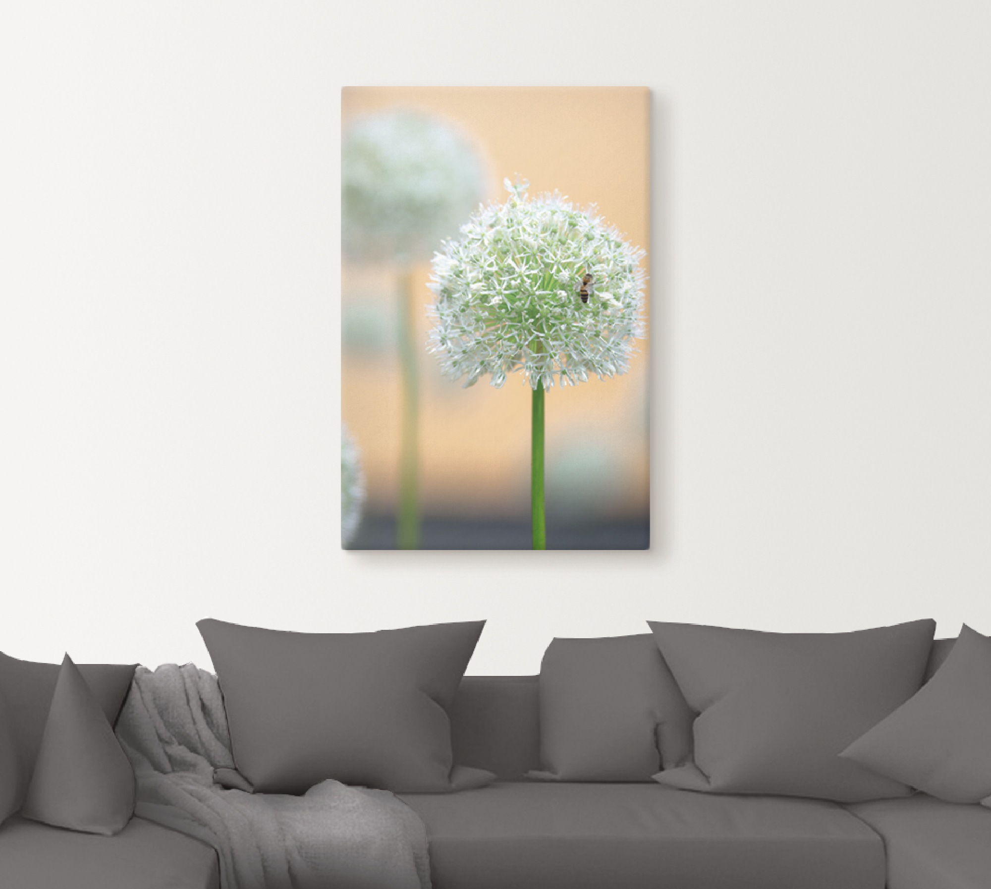 Artland Wandbild »Großer Allium in Pastell«, Blumen, (1 St.), als Leinwandb günstig online kaufen