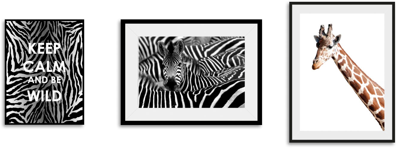 queence Bild »Animals«, Tiere-Schriftzug-Sprüche & Texte-Motivationsbilder- günstig online kaufen
