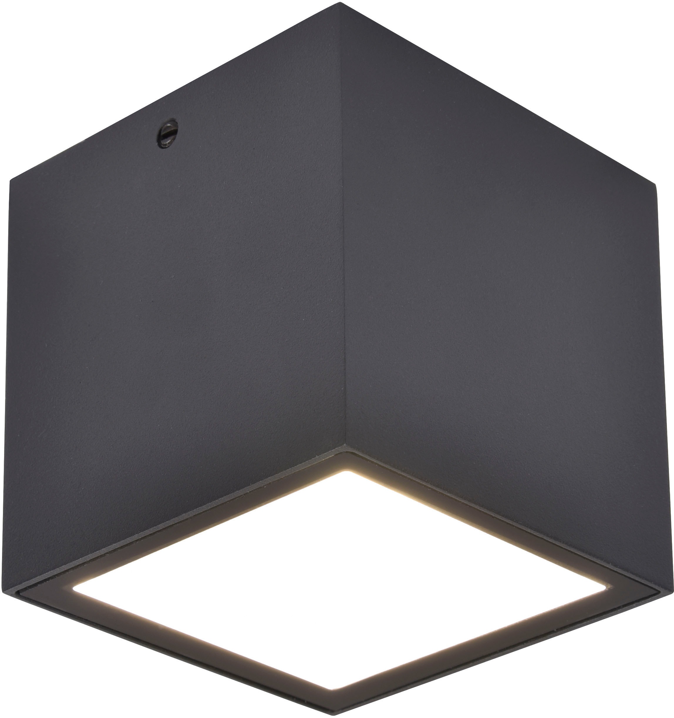 LUTEC LED Außen-Wandleuchte »GEMINI«, Leuchtmittel LED-Modul | LED fest integriert