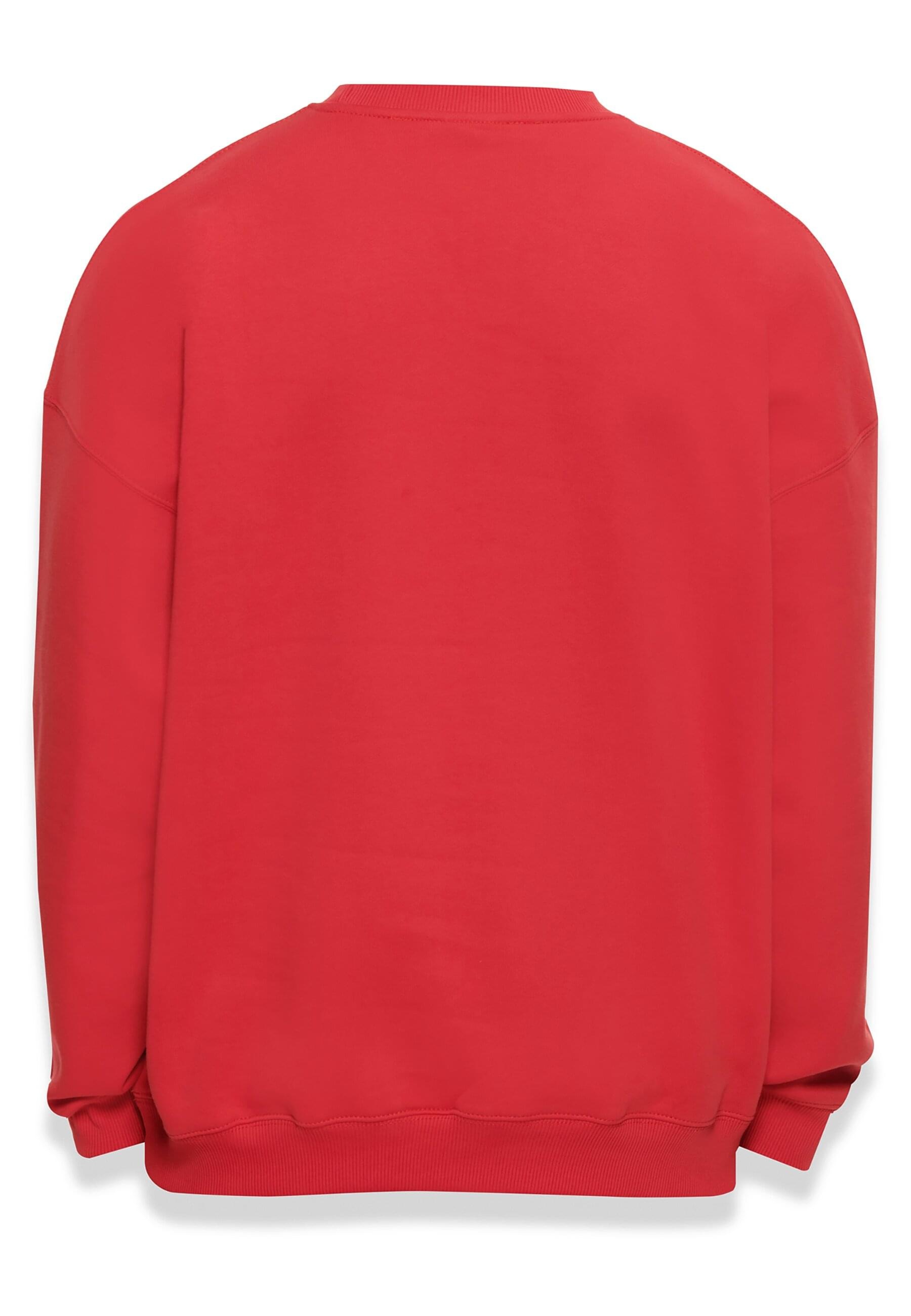 Dropsize Rundhalspullover »Dropsize Herren Bazix Republiq Super Heavy Blank Sweater« 1 Stk.