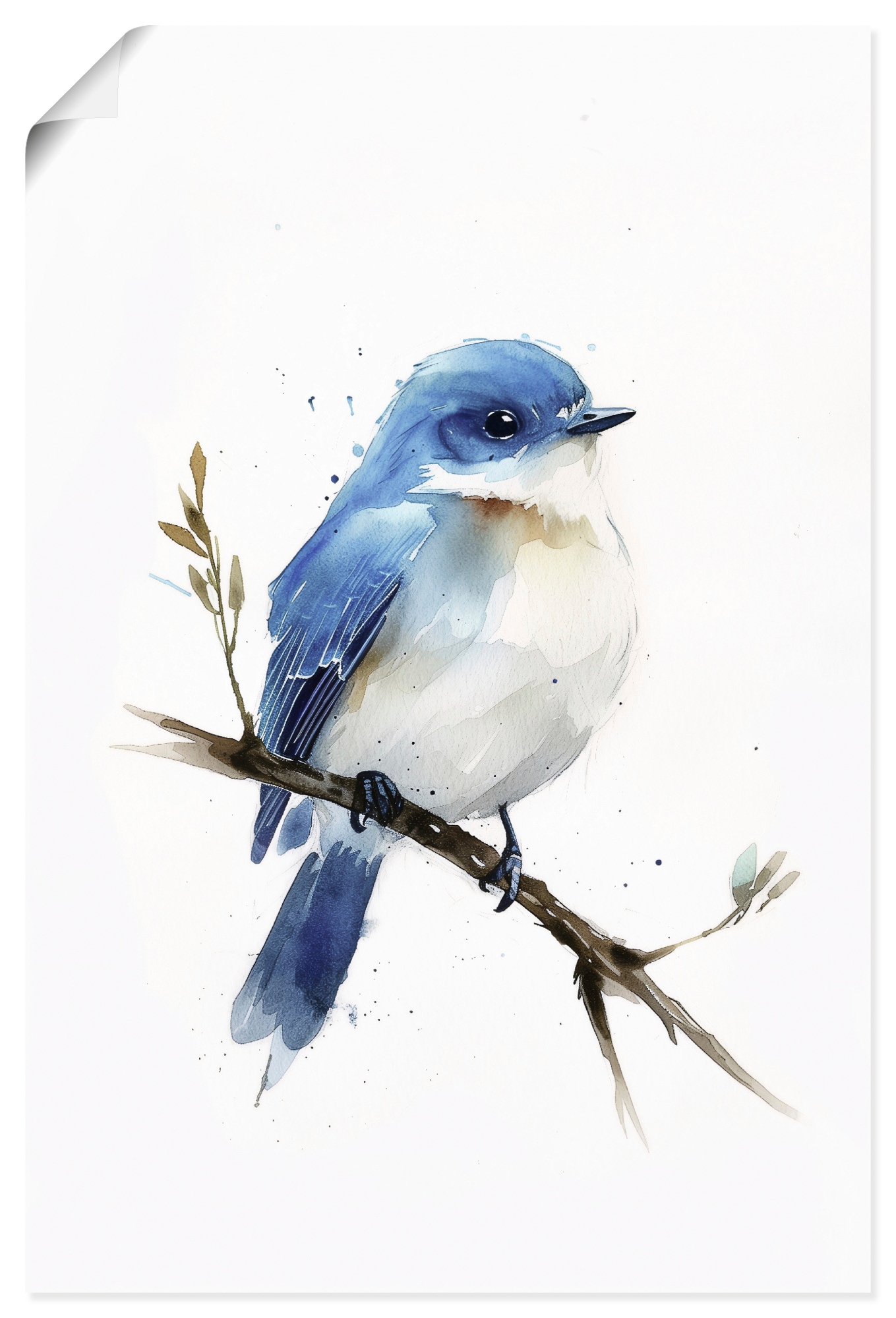 Artland Wandbild »Aquarell Berghüttensänger« Vogelbilder 1 Stk. tlg. als Alubild, Leinwandbild, Poster, Wandaufkleber in verschied. Größen
