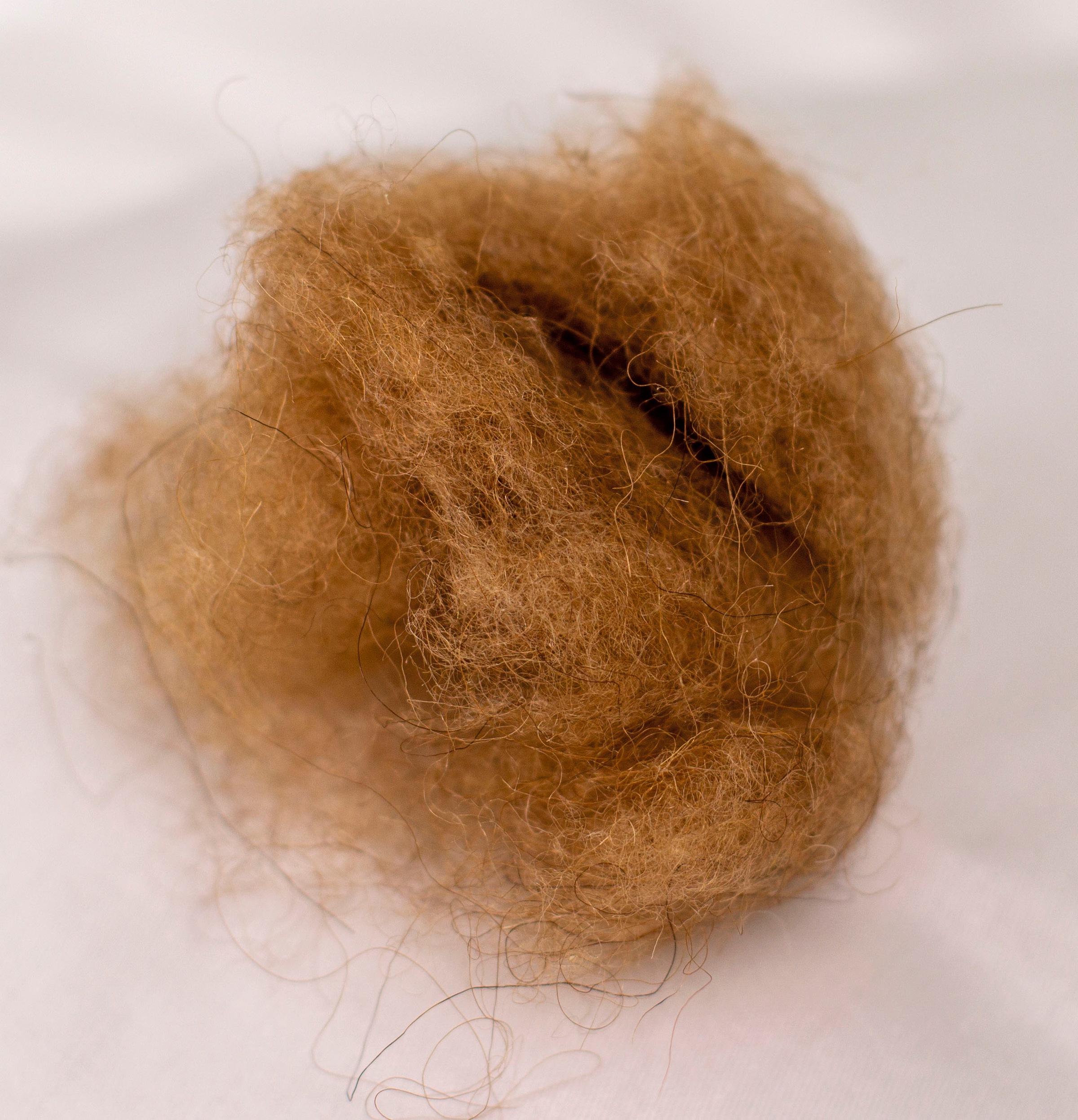 billerbeck Naturhaarbettdecke »Natur Classic 342 Brilliant, Bettdecken für Sommer und Winter, Decke«, leicht, Füllung Kamelhaar, Bezug Satin aus reiner Baumwolle, (1 St.), Die temparaturregulierende Naturhaardecke