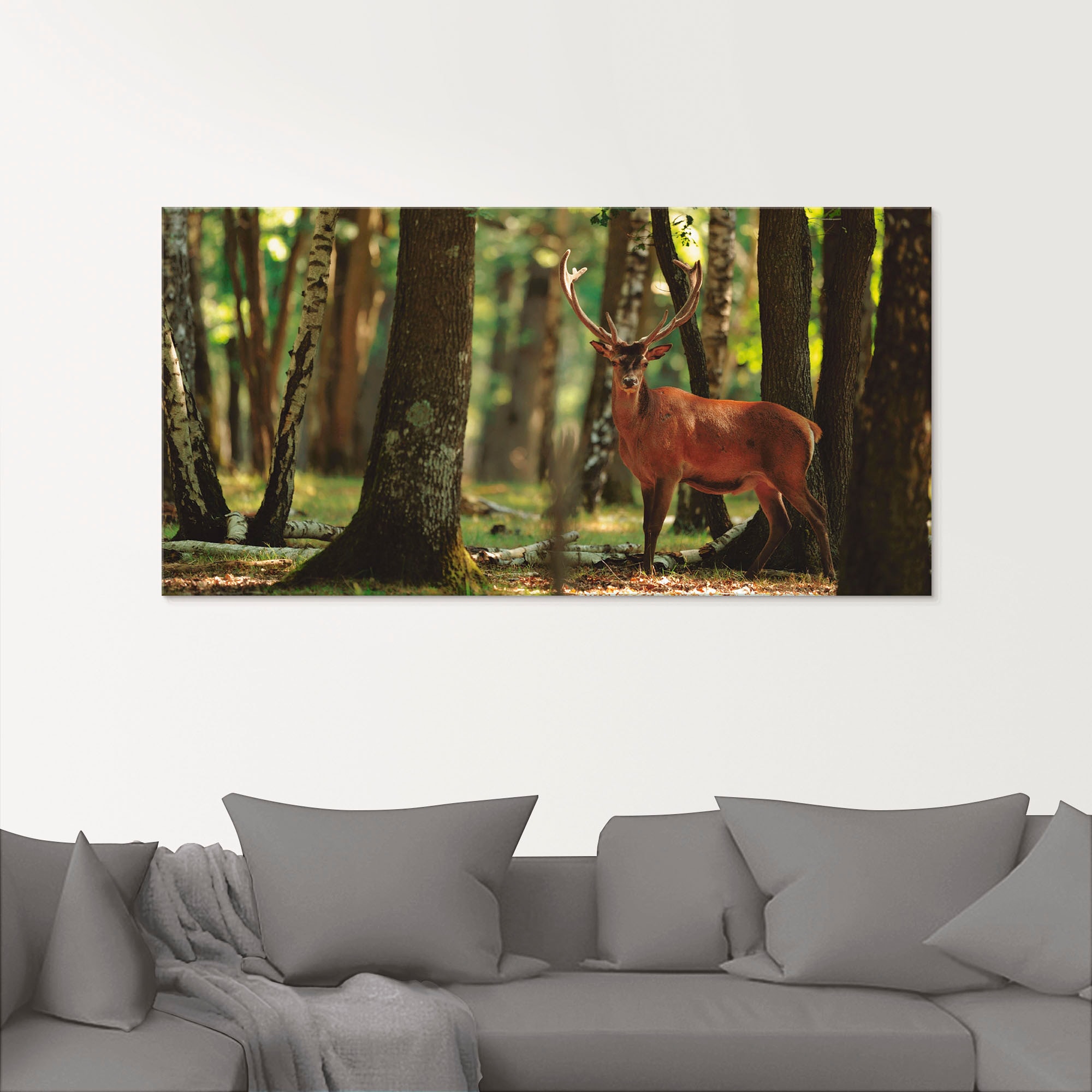 Artland Glasbild »Hirsch 4 - Wald«, Wildtiere, (1 St.), in verschiedenen Größen