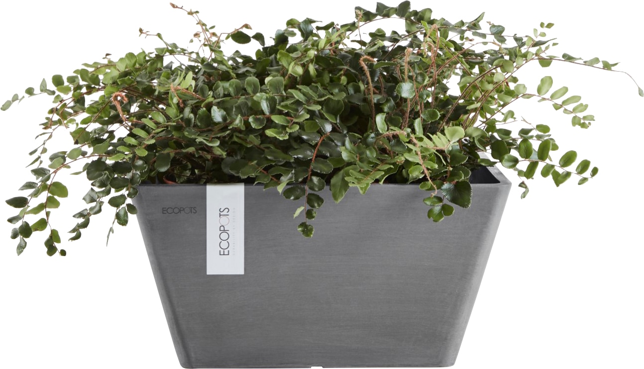 ECOPOTS Blumentopf »BERLIN Grey«, BxTxH: 25,5x25,5x12,8 cm