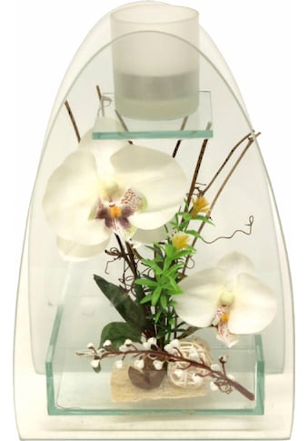 I.GE.A. Kunstpflanze »Orchidee mit Teelichthalter 23/15 cm«, (1 St.) kaufen