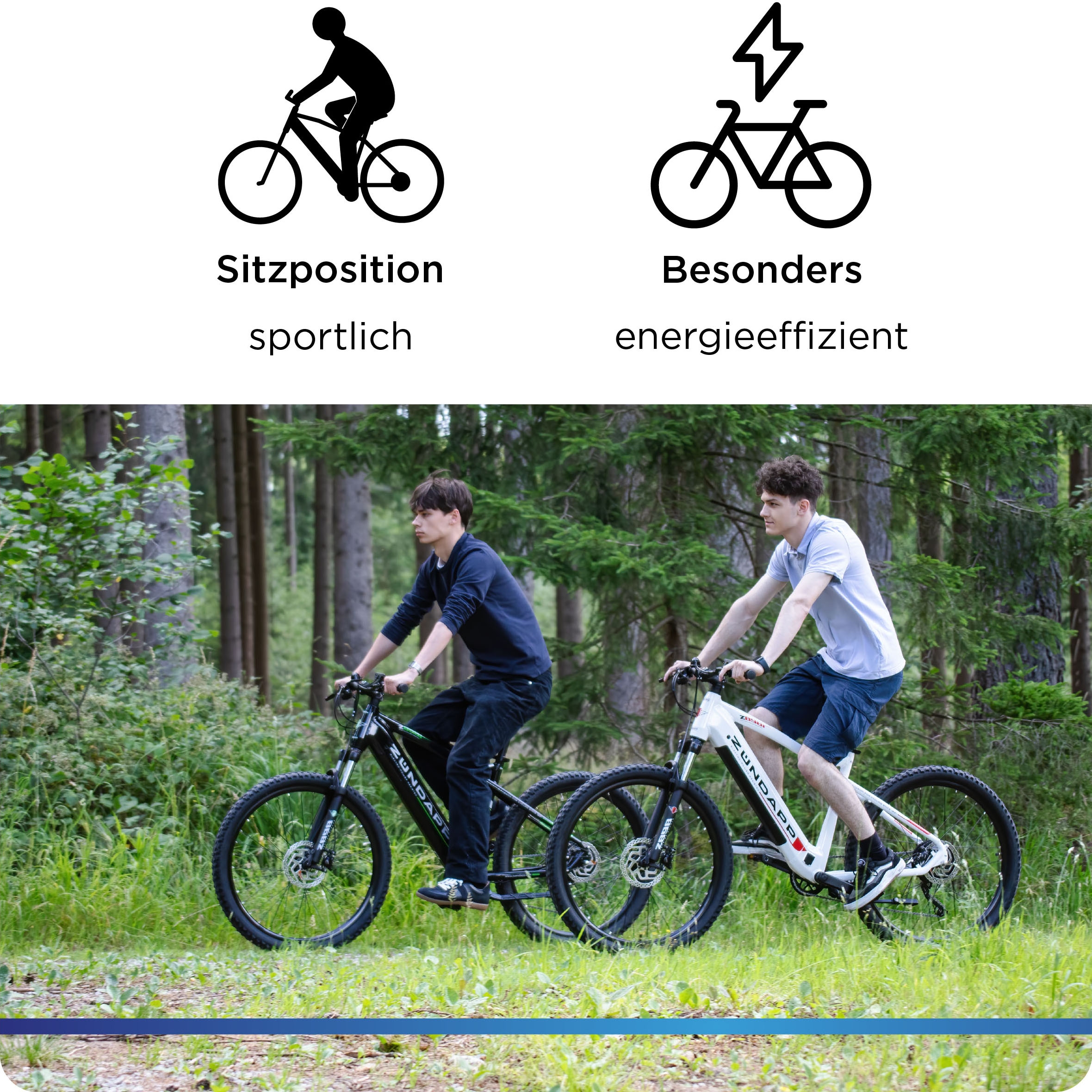 Zündapp E-Bike »Z898«, 10 Gang, Heckmotor 250 W, Pedelec, Elektrofahrrad für Damen u. Herren, MTB