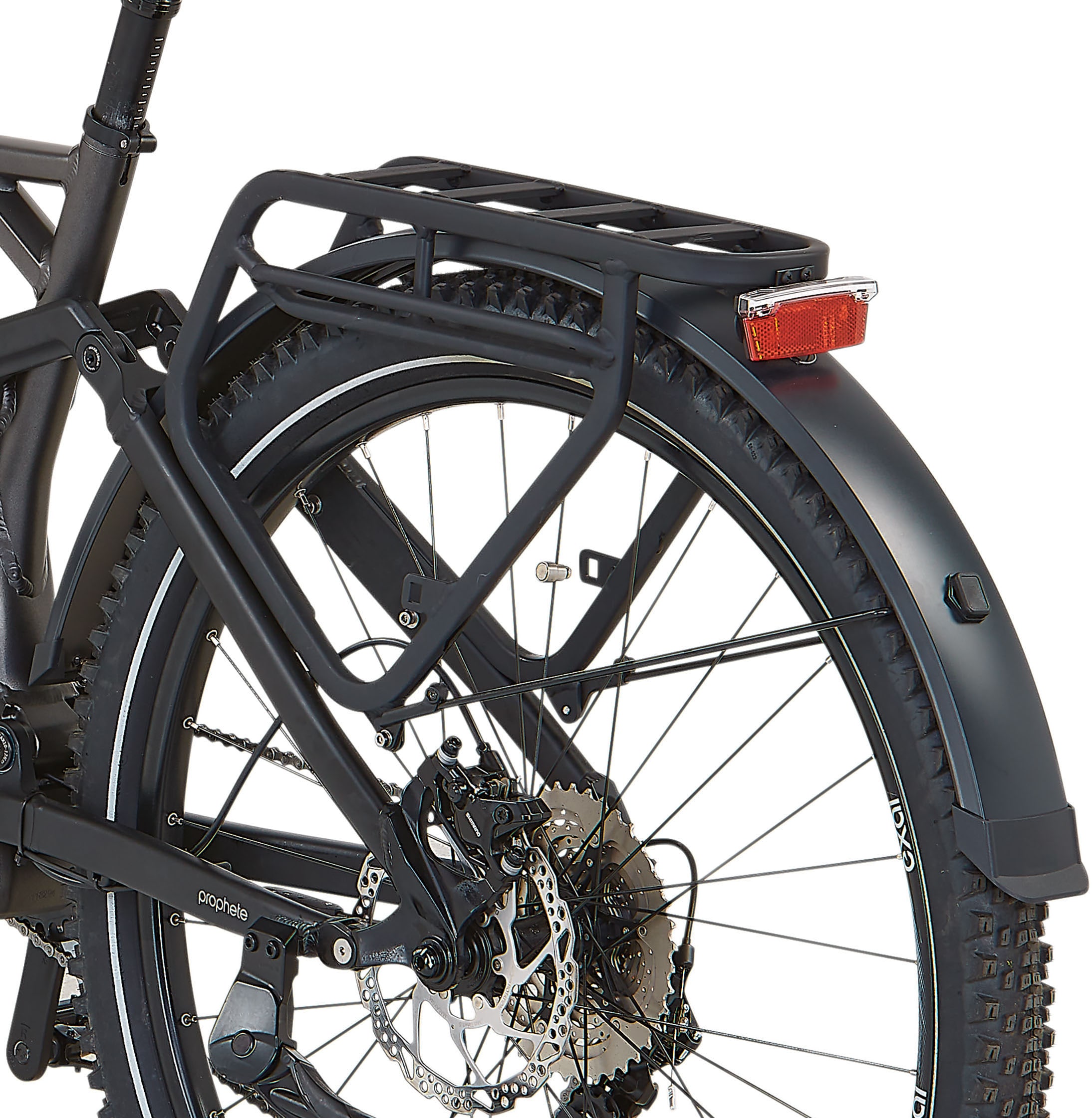 Prophete E-Bike »Stack 5.8«, 10 Gang, Shimano, Deore, Mittelmotor 250 W
