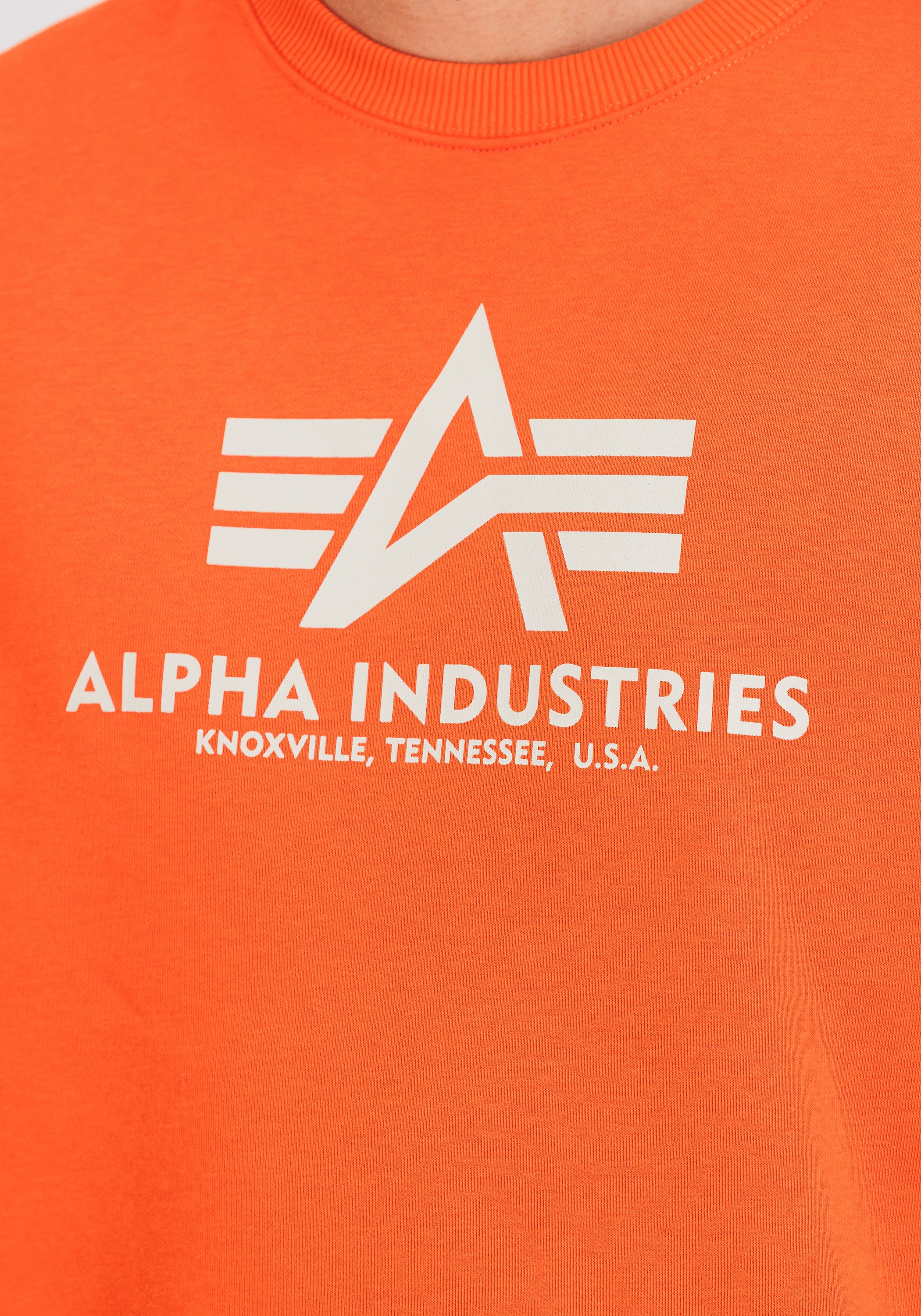 Alpha Industries Sweater »Alpha Industries Men - Sweatshirts Basic Sweater«