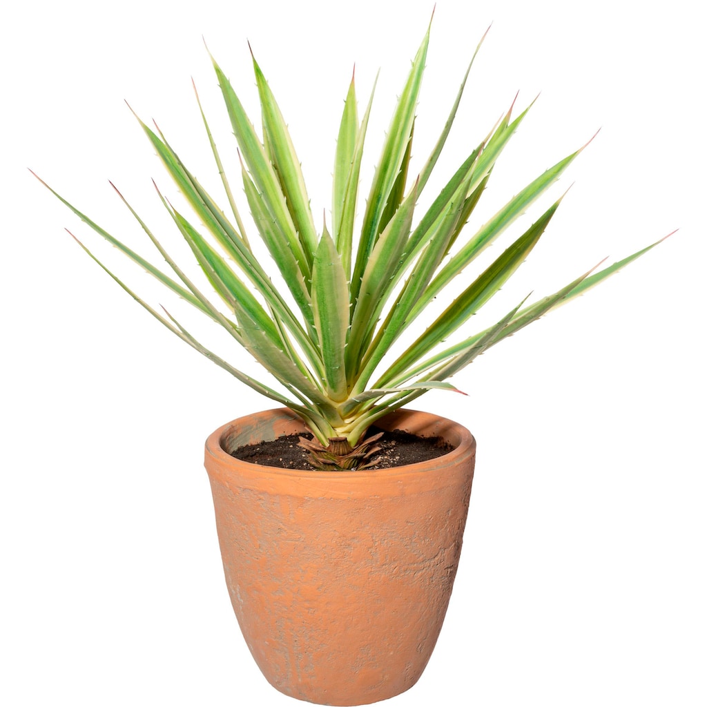 Creativ green Künstliche Zimmerpflanze »Yucca im Terracottatopf«