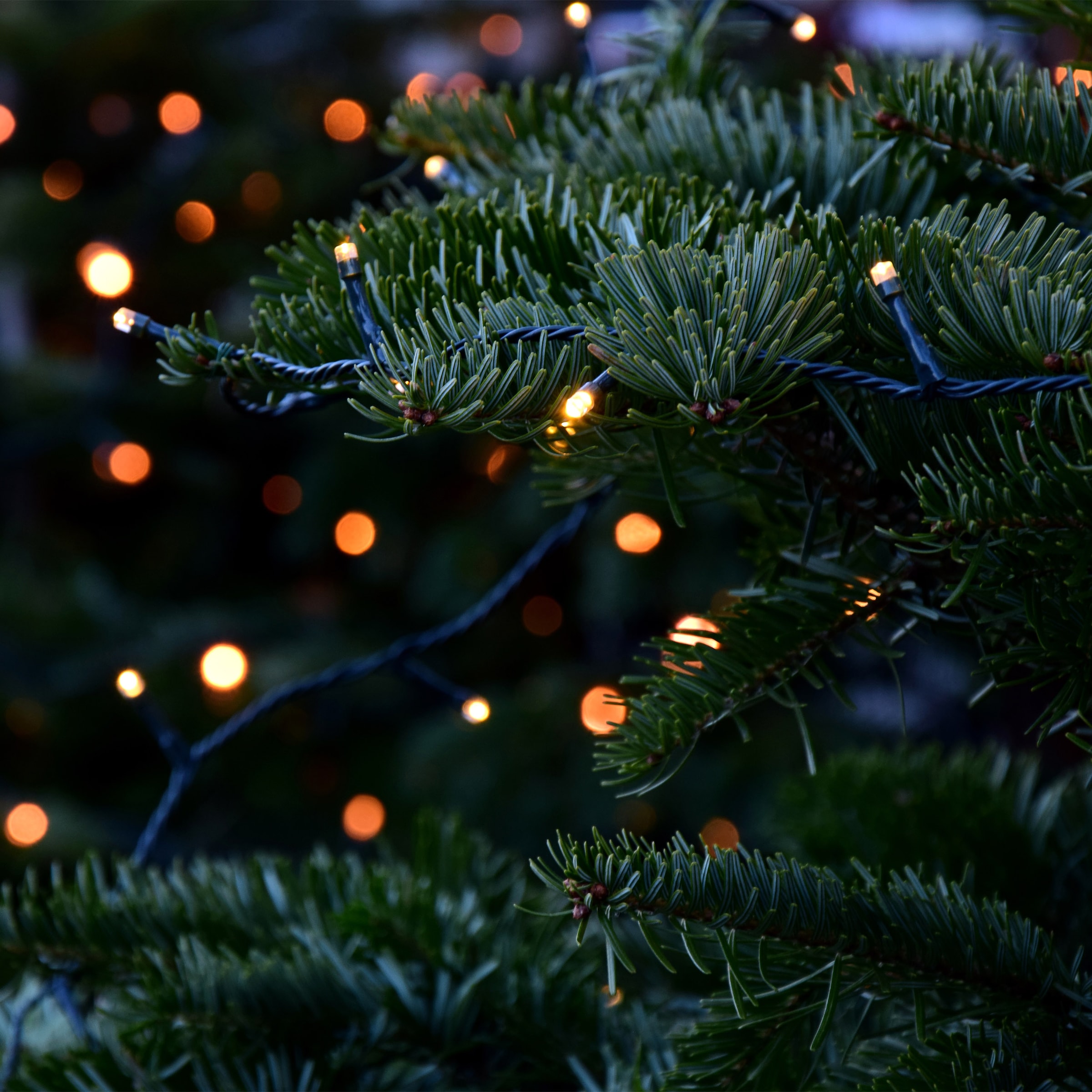 BONETTI LED-Lichterkette »mit Zauberstab als Fernbedienung« 300 Stk.-flammig auf Knopfdruck aktivieren sie eine stimmungsvolle Beleuchtung