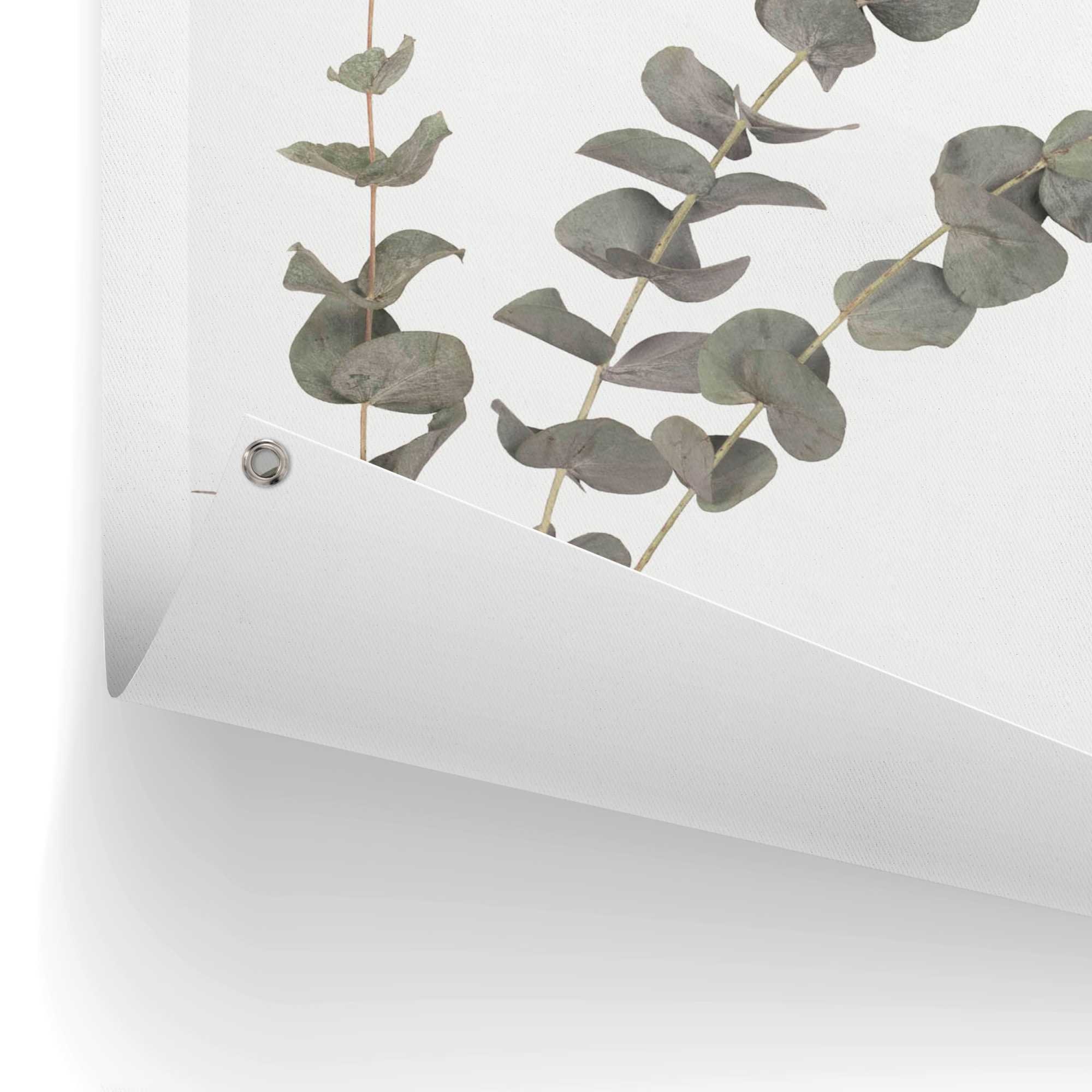 Balkon Reinders! Garten bestellen Poster oder Outdoor »Eukalyptus«, online für