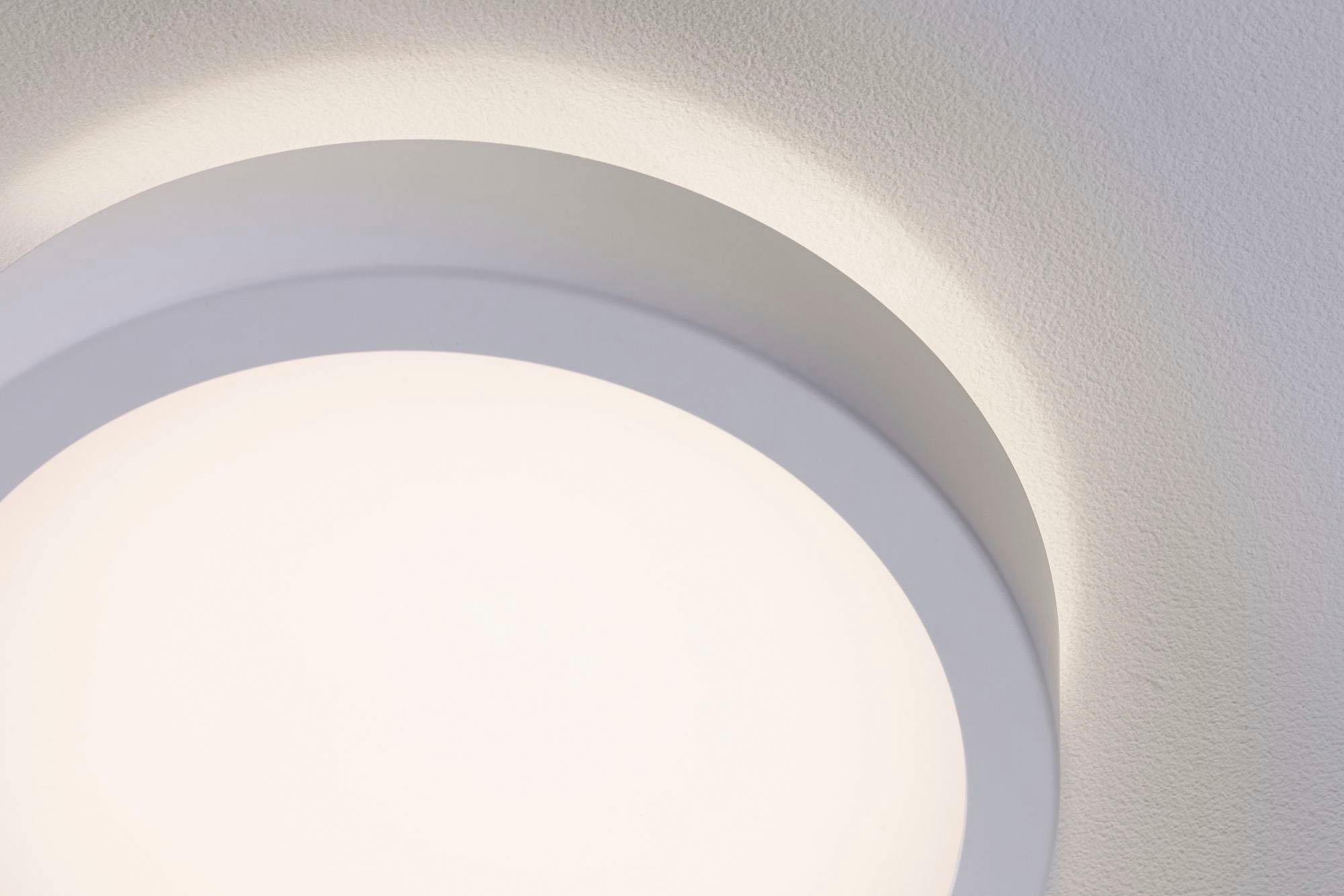Paulmann LED Deckenleuchte »Aviar«, 1 flammig