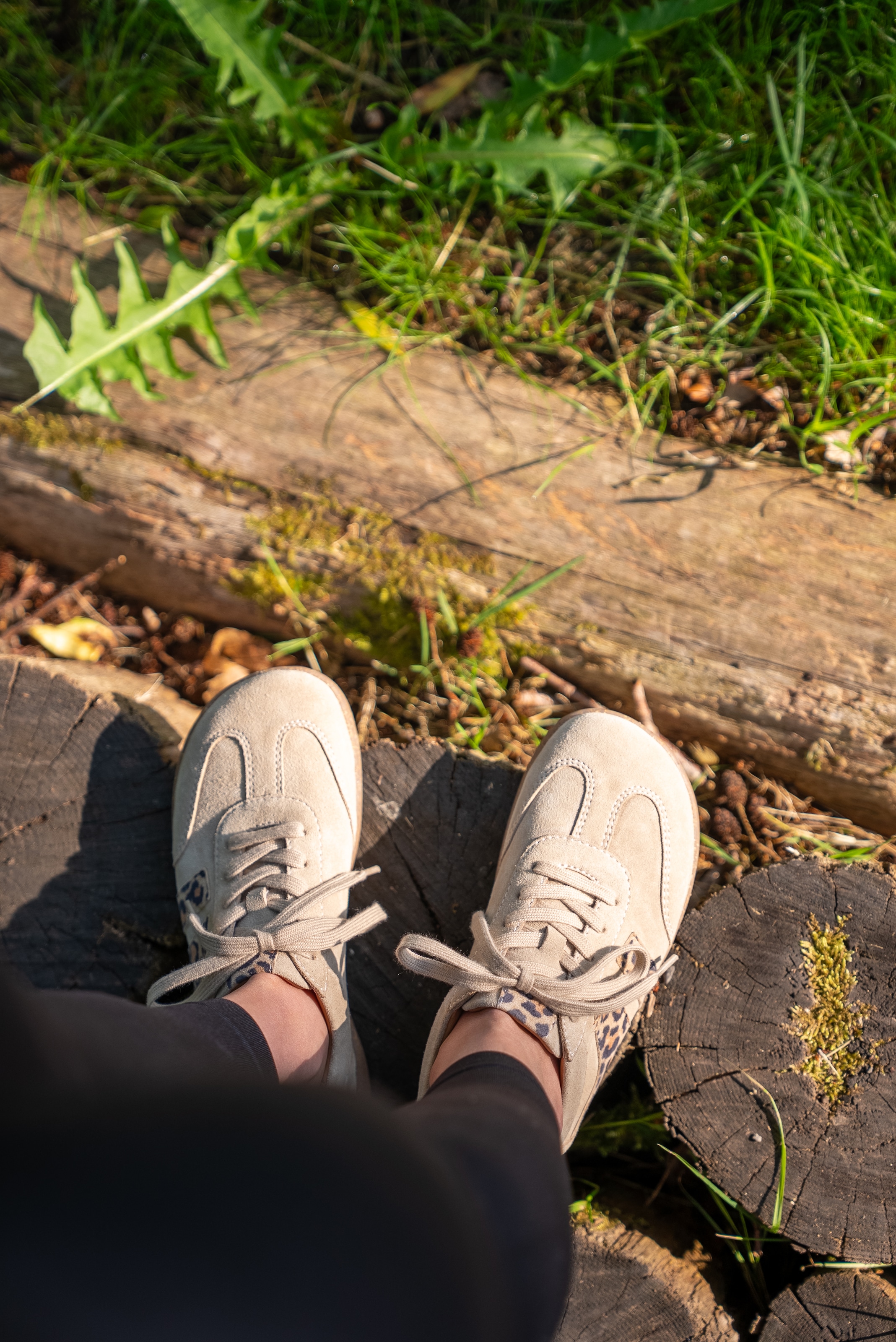 Josef Seibel Sneaker »Cassandra 11«  Halbschuh, Komfortschuh, Schnürschuh mit Lederinnensohle, G-Weite