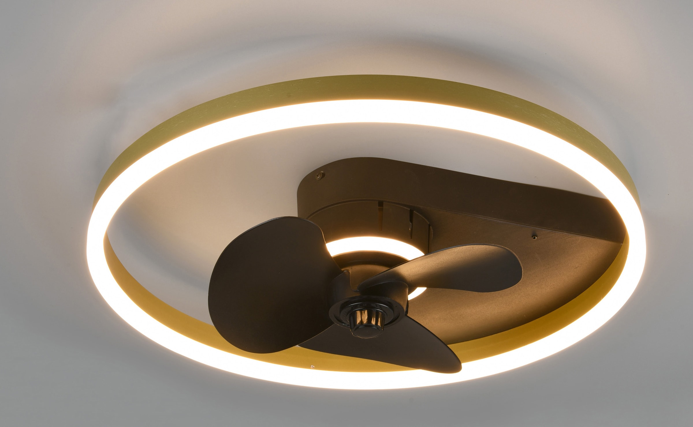 TRIO Leuchten LED Deckenleuchte »Ponts«, warmweiß und Acrylschirm, 3000 Kelvin schwarz flammig-flammig, online 1 goldfarbig, kaufen Stoffschirm