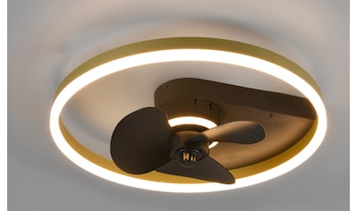 TRIO Leuchten LED Deckenleuchte »Ponts«, 1 flammig-flammig, schwarz  goldfarbig, Stoffschirm und Acrylschirm, warmweiß 3000 Kelvin online kaufen