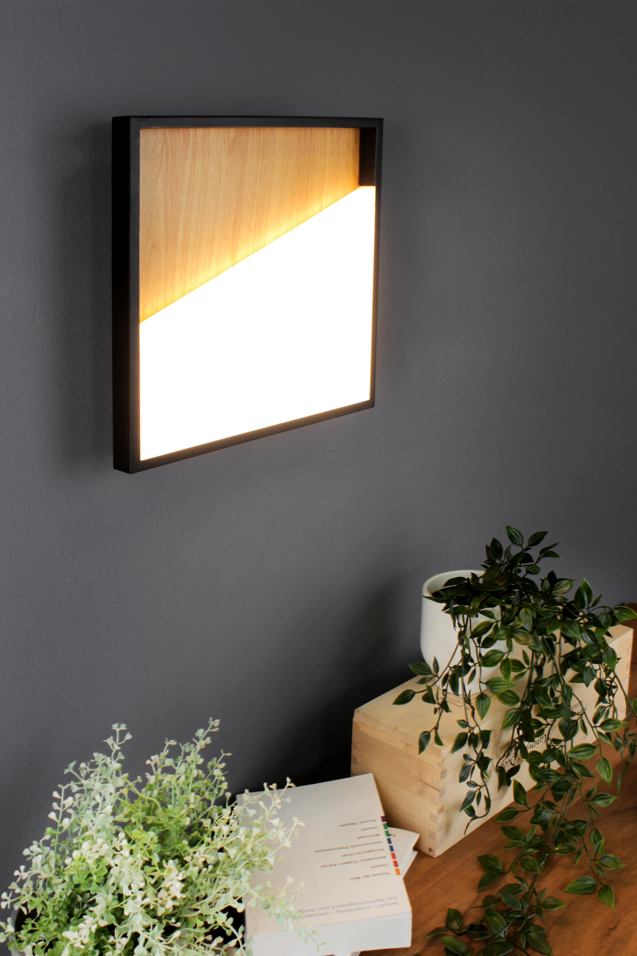 ECO-LIGHT LED Wandeuchte »VISTA«, LED fest integriert, Gr. ca. 30 x 30 cm