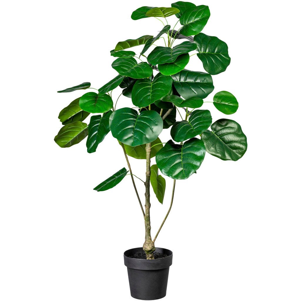 Creativ green Künstliche Zimmerpflanze »Ficus«