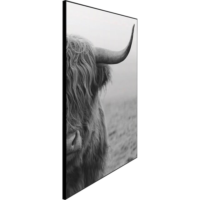 Reinders! Wandbild »Slim Frame Black 50x70 Highlander« auf Raten bestellen