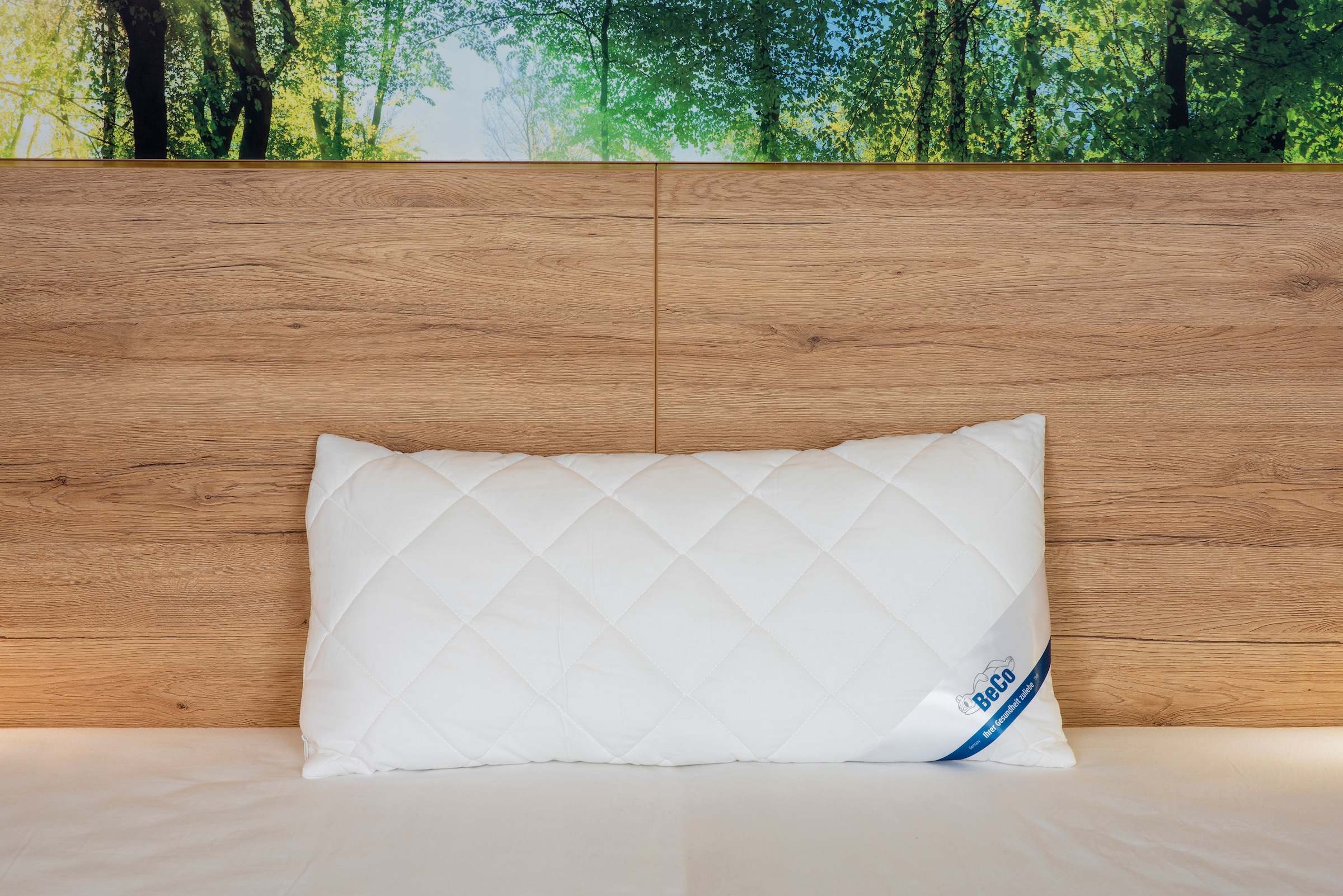 Beco Kunstfaserkopfkissen »BeCo Medibett BW70 Made in Green«, Füllung: Klim günstig online kaufen