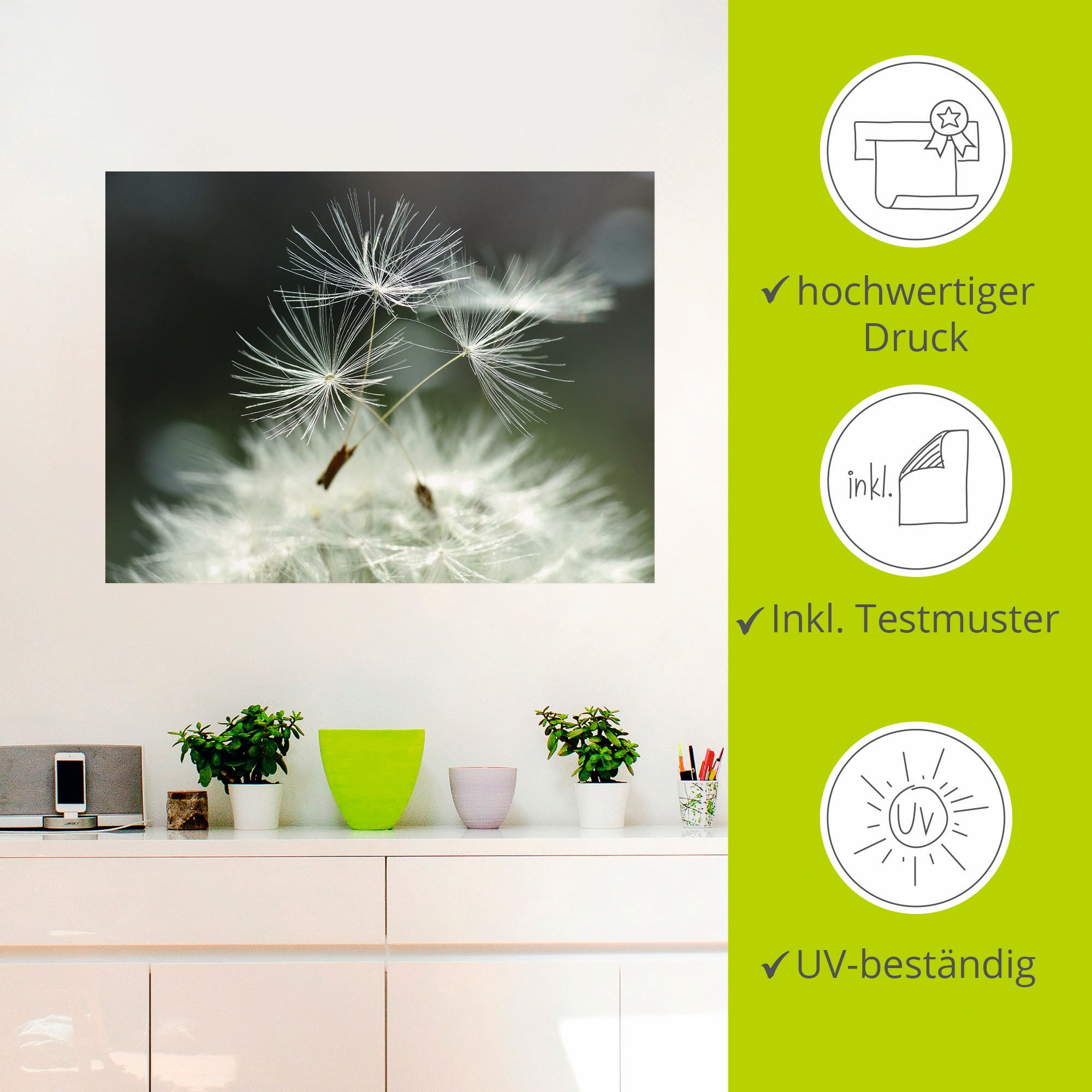 Artland Wandbild »Pusteblume Facility«, Blumen, (1 St.), als Alubild, Outdoorbild, Leinwandbild, Poster, Wandaufkleber