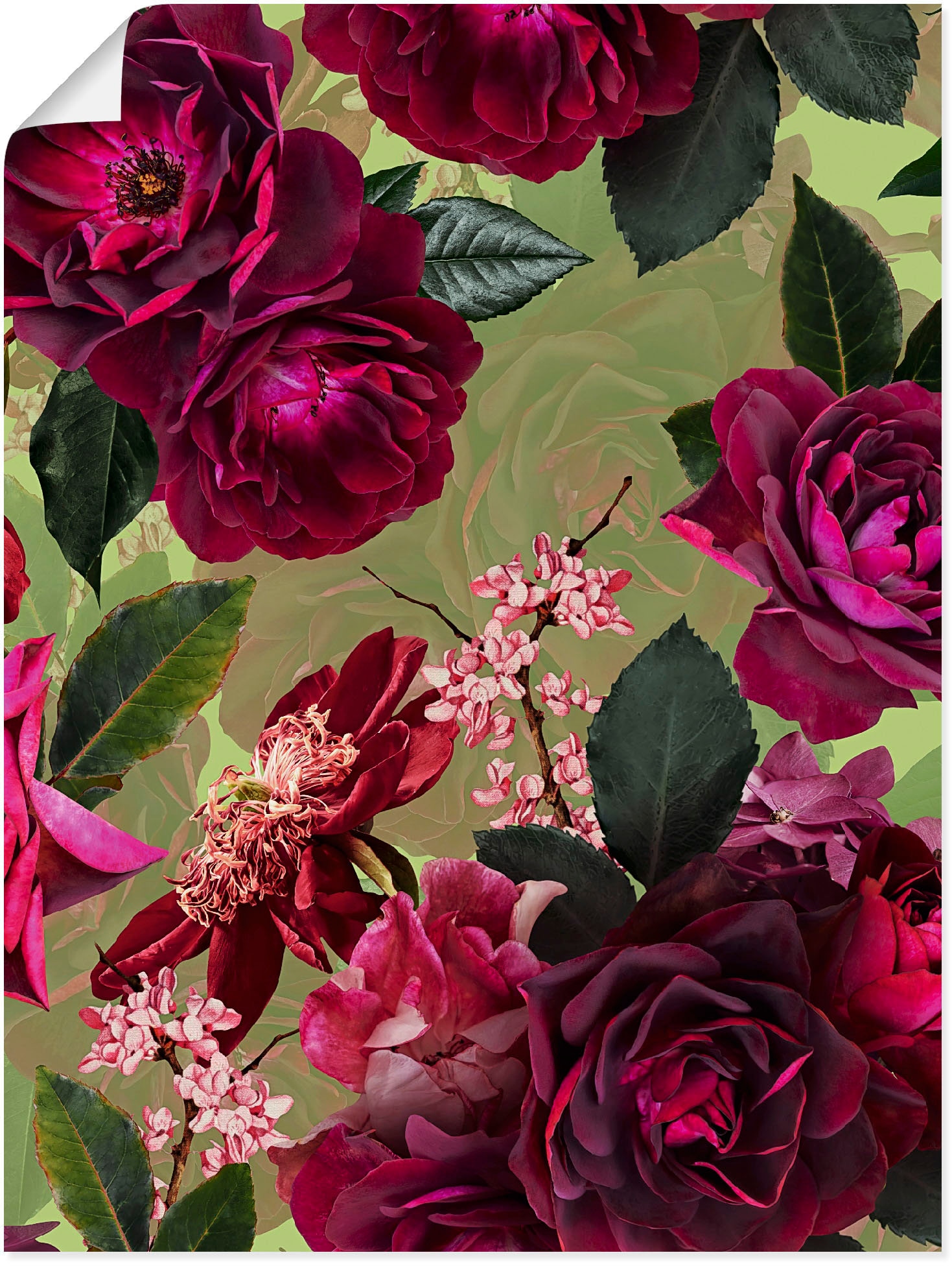 Artland Wandbild »Dunkle Rosen auf Grün«, Blumenbilder, (1 St.), als Alubil günstig online kaufen
