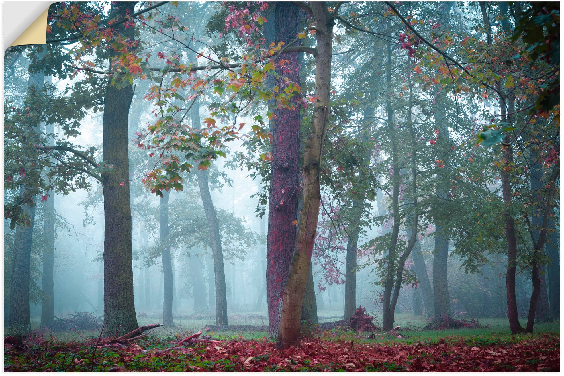 Artland Wandbild "Nebel im Wald", Waldbilder, (1 St.), als Alubild, Outdoor günstig online kaufen