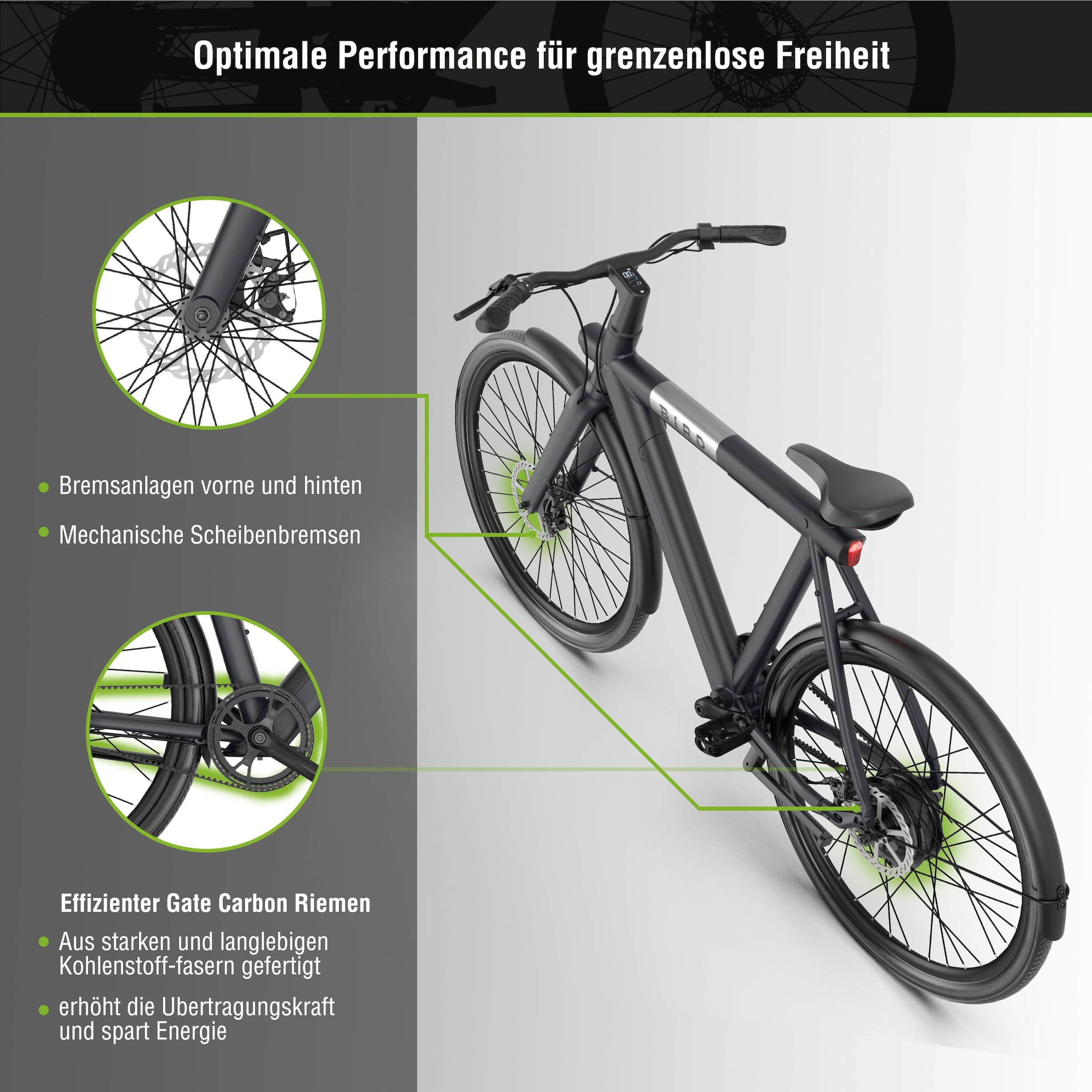 SachsenRad »C6R« 1 Gang ohne Schaltung Heckmotor 250 W Pedelec, Elektrofahrrad für Damen und Herren