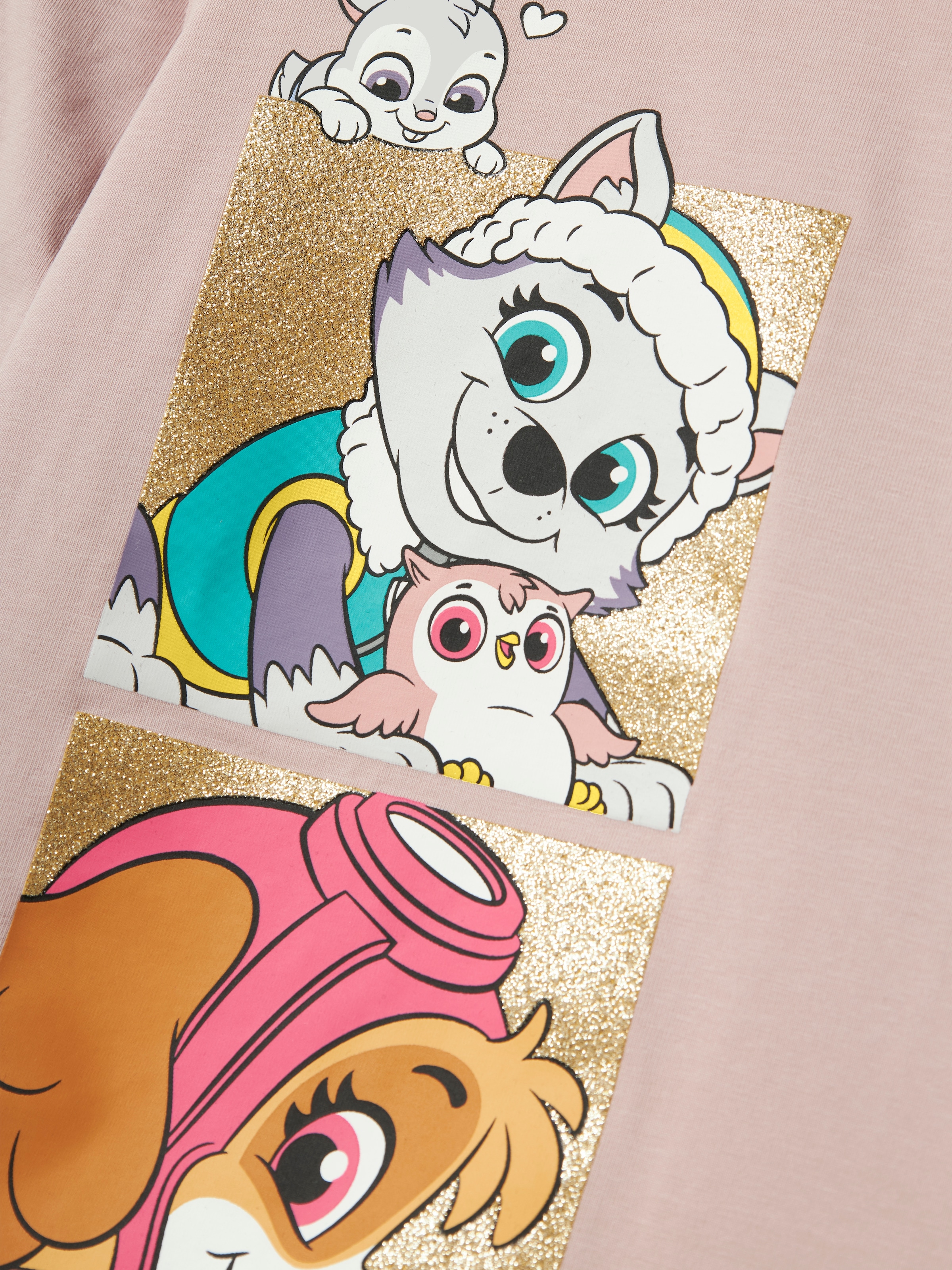Name It Longtop »NMFJOANA PAW LS TOP BOX NOOS CPLG«