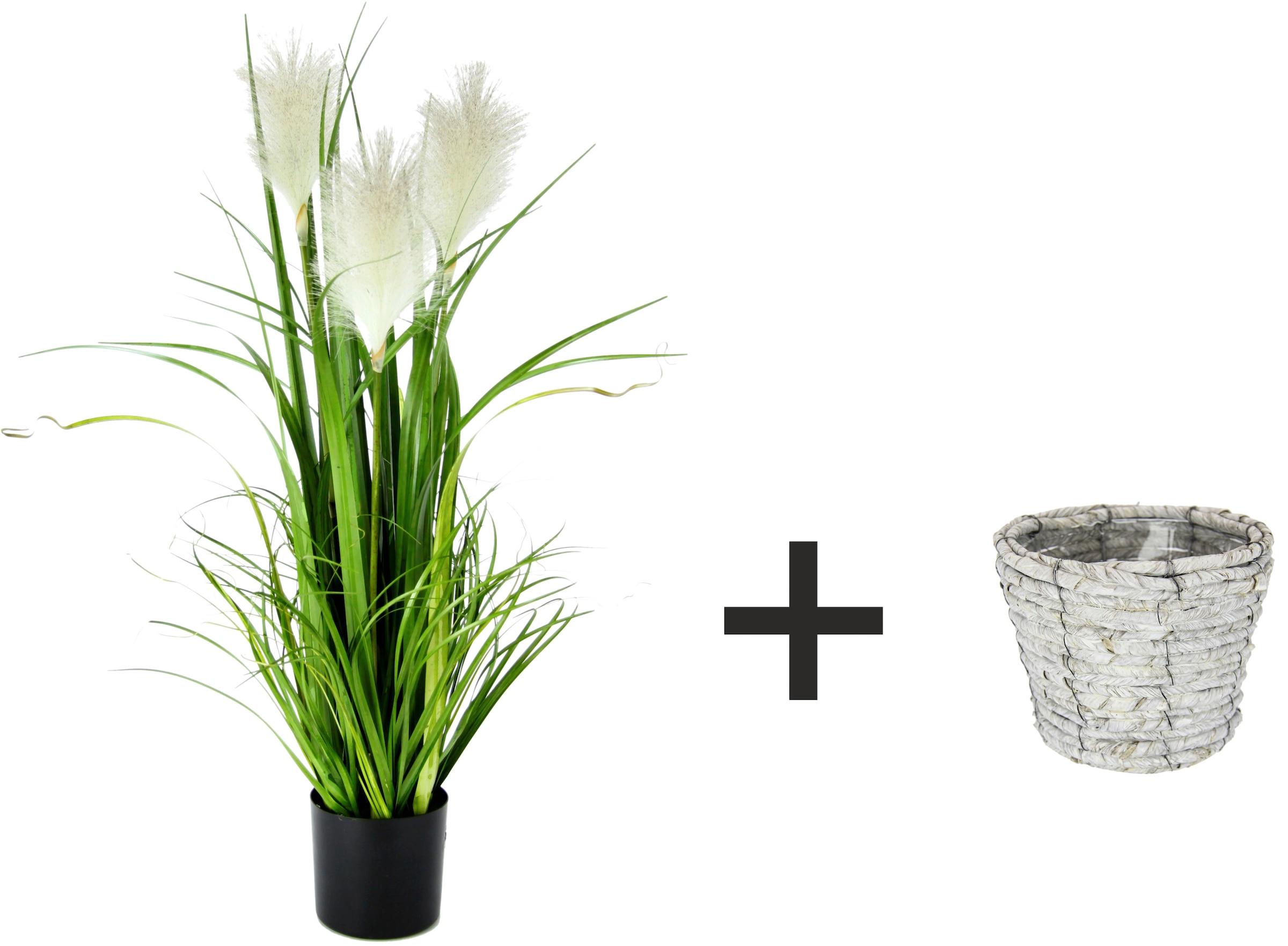 I.GE.A. Kunstpflanze »Pampasgras«, Mit Übertopf, künstliches Pampas Gras
