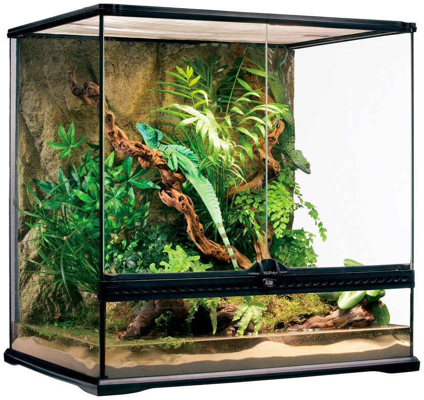 Terrarium, BxTxH: 60x45x60 cm