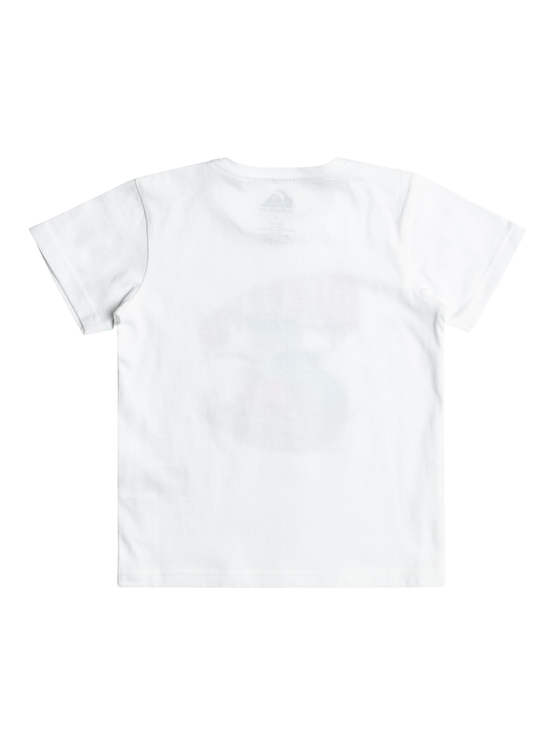 Quiksilver T-Shirt »Dinos Ride«