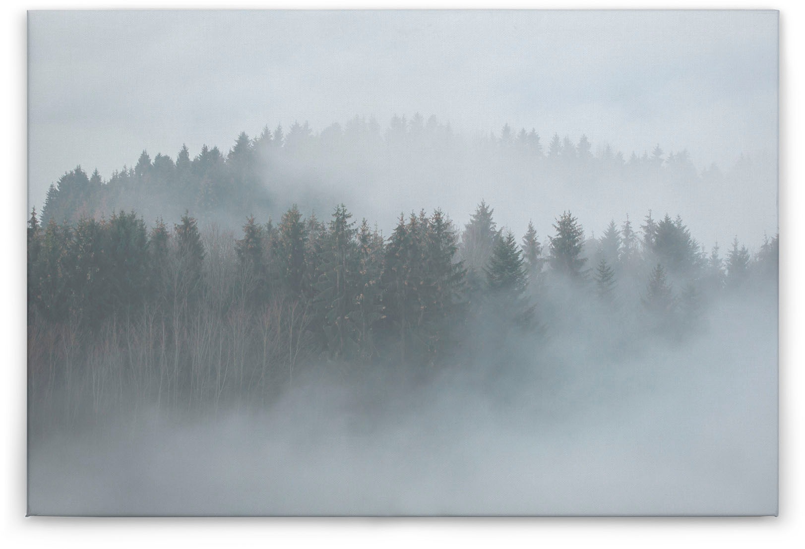 Bricoflor Bild Mit Wald Im Nebel Auf Leinwand Tannenwald Bild Ideal Für Woh günstig online kaufen