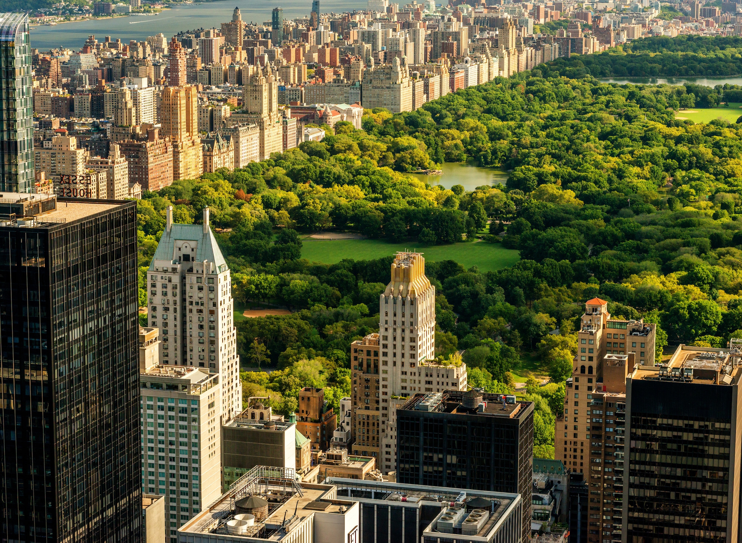 Papermoon Fototapete »Central Park Manhattan« günstig online kaufen