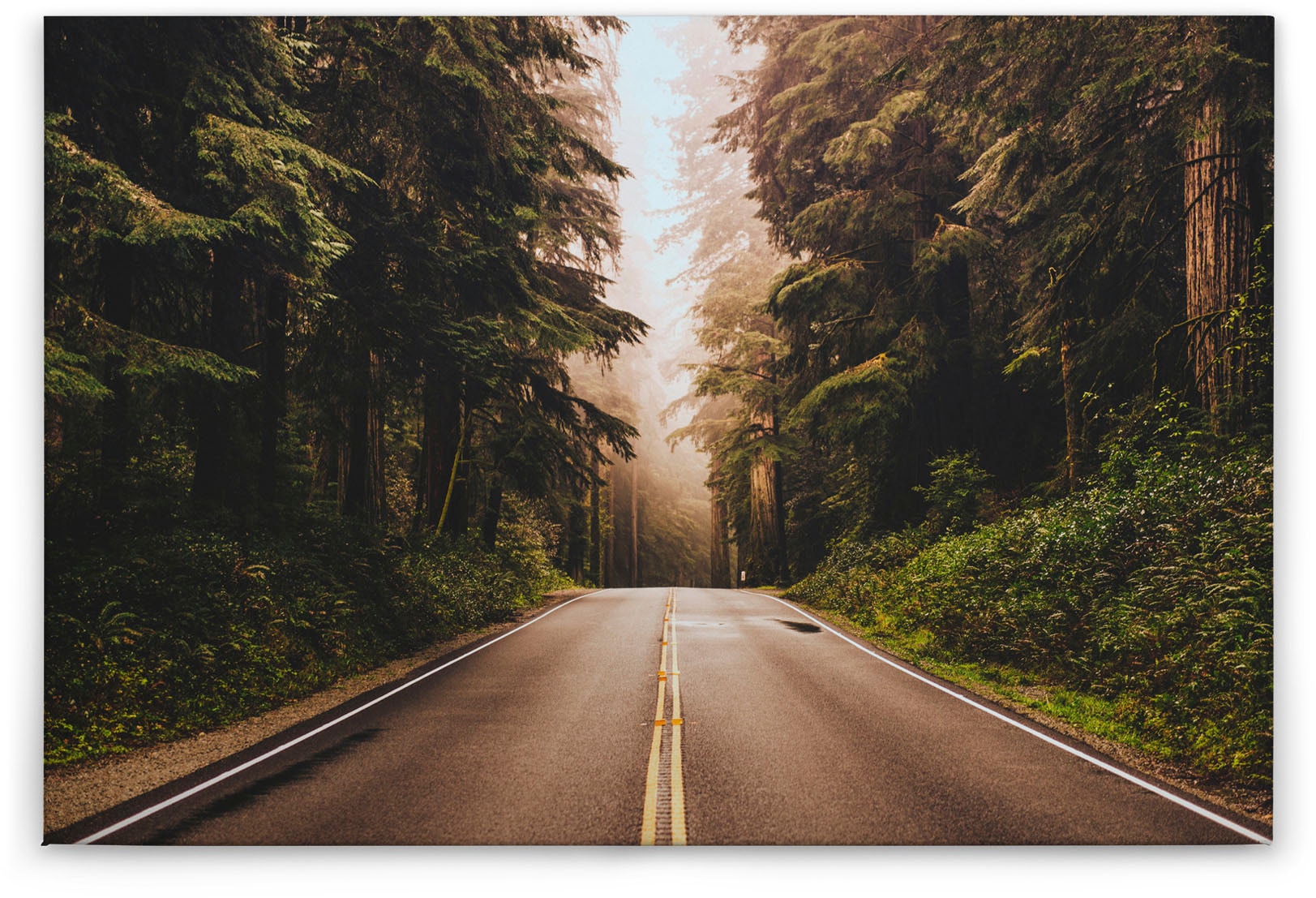 A.S. Création Leinwandbild »Road Trip«, Kunst-Wald-Kinder, (1 St.), Landstraße Bäume Keilrahmen Natur Leinwand-Bild Wohnzimmer modern Wand